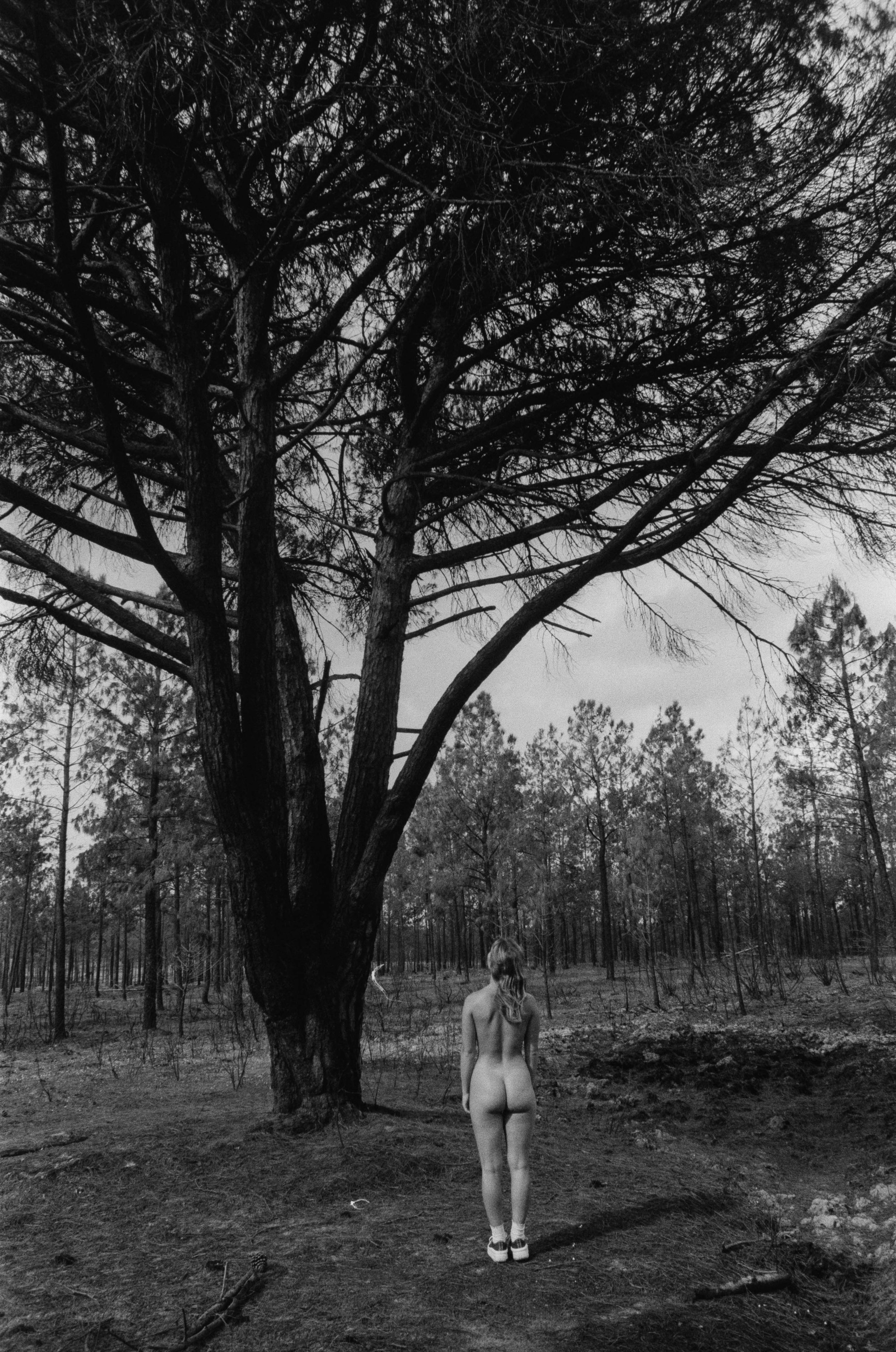 A nude woman with long hair, standing in a forest clearing near a large leafless tree, captured in black and white.