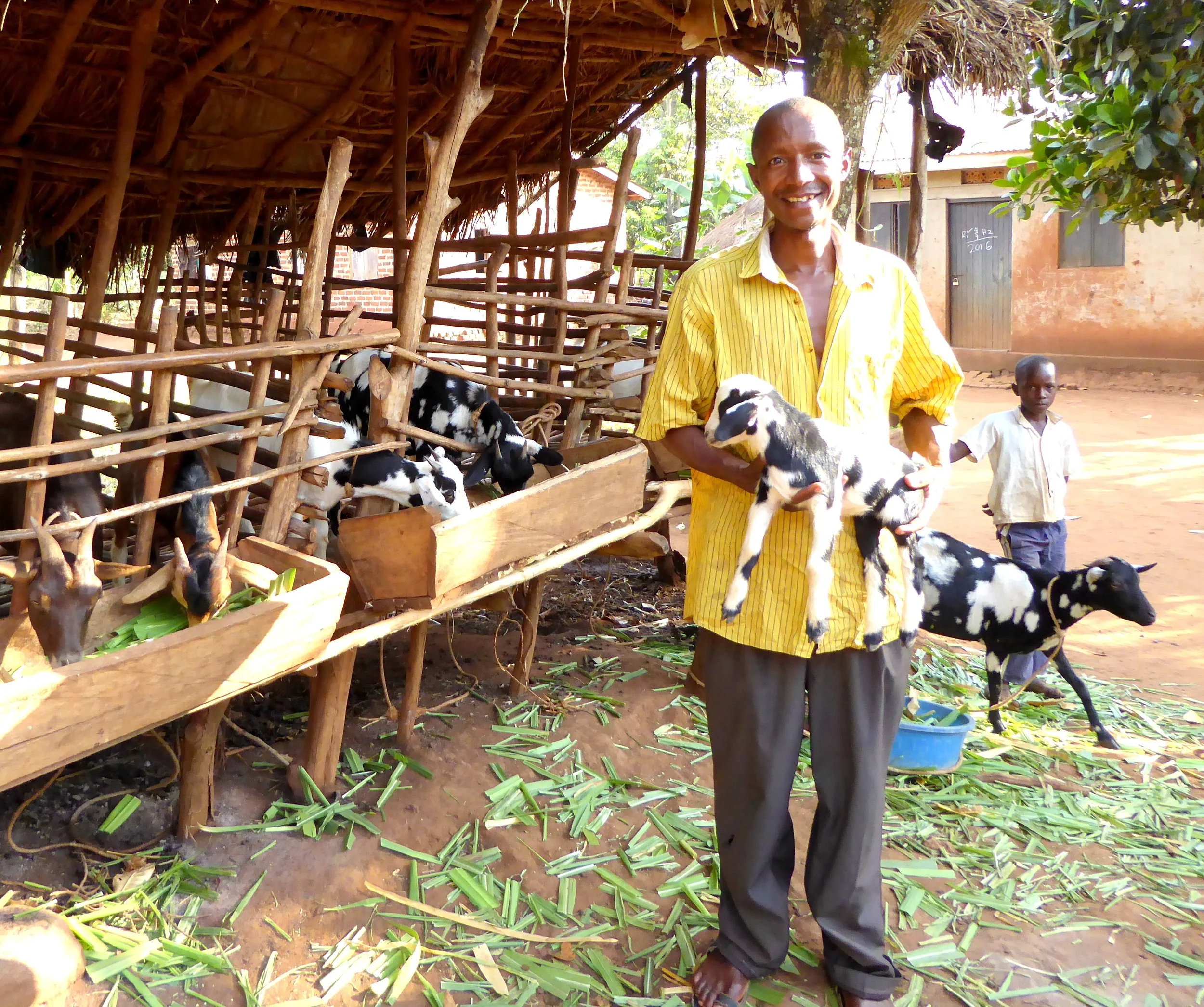 A man holding a black and white goat in a rural setting with a thatched shelter, a young boy nearby, and green foliage around.