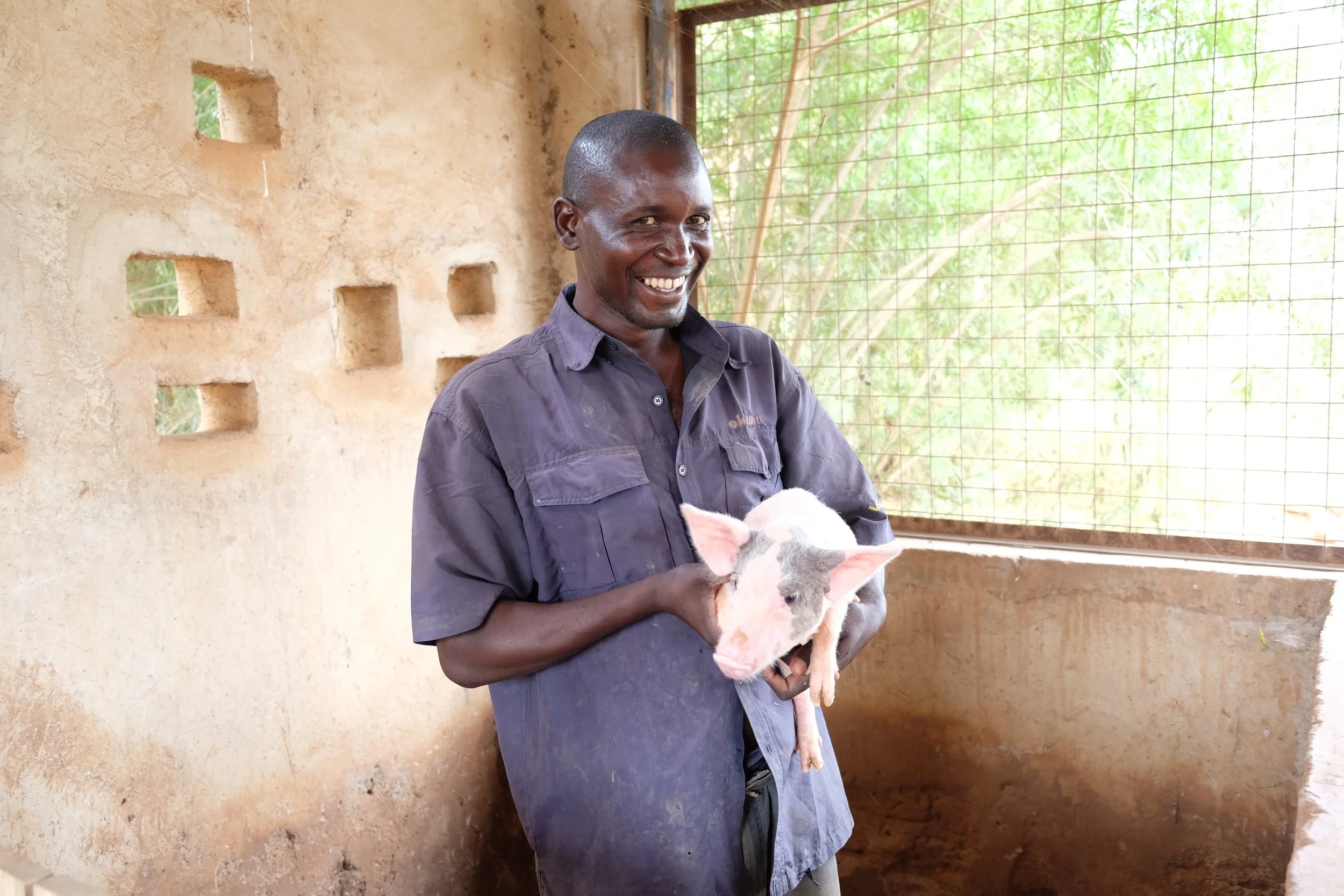 We believe in enterprise not charity. A farmer holding a piglet inside a rustic pen with a wire mesh window and an earthen wall.