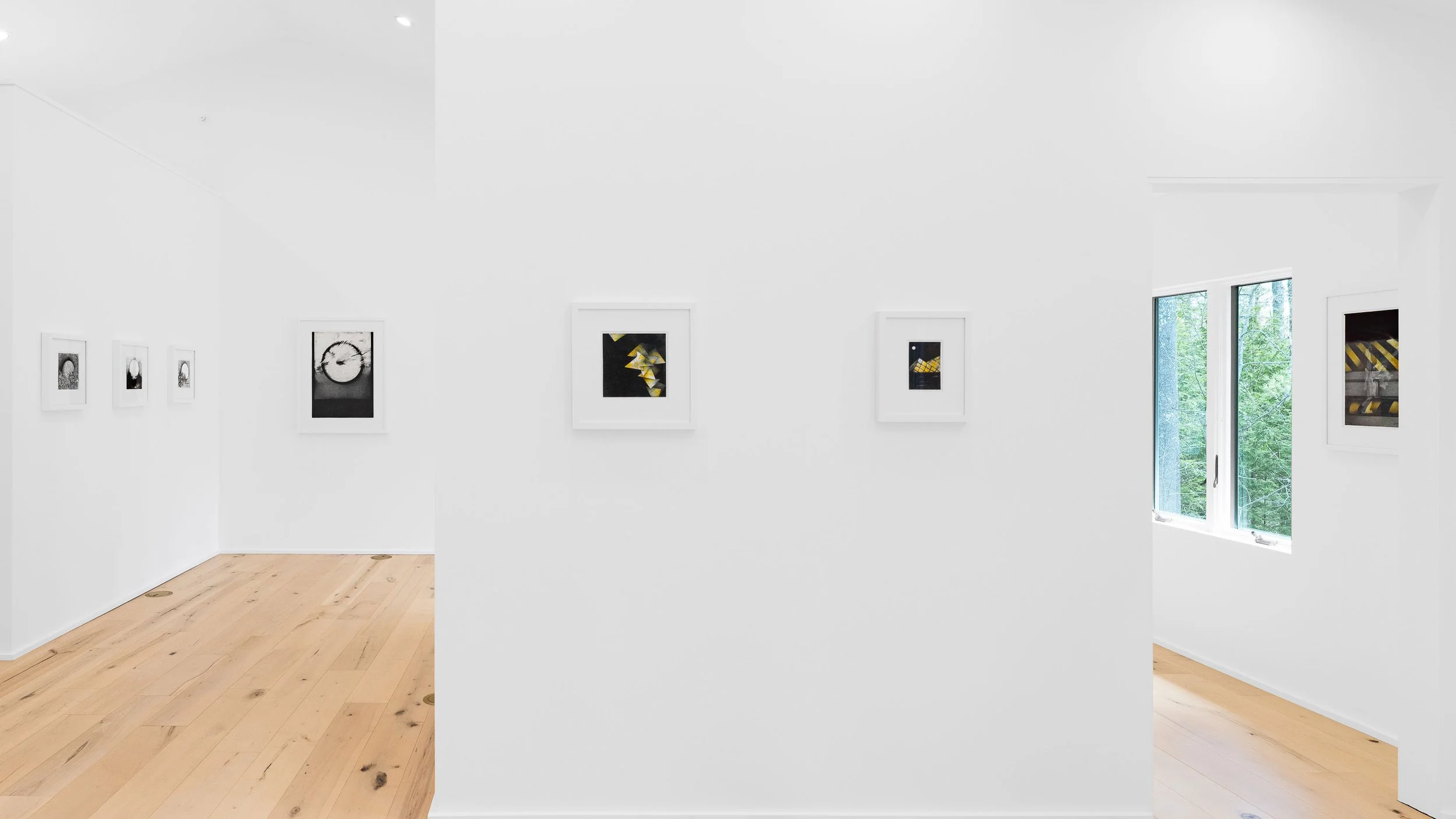 White-walled art gallery with framed artwork hung in a row, wooden floor, large windows showing greenery outside.