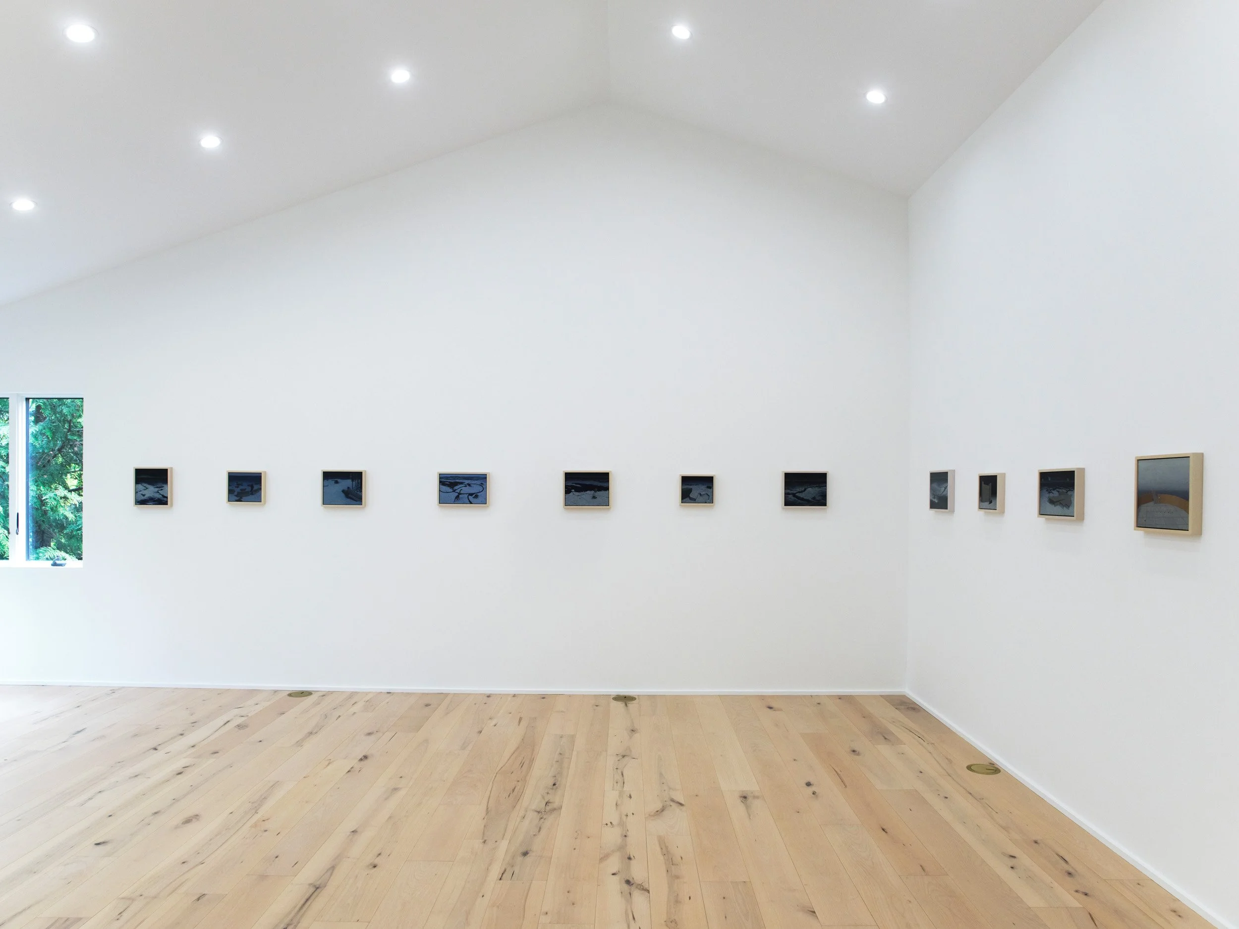 An art gallery with a white wall displaying a row of small framed photographs, a large window showing green trees, and a wooden floor.