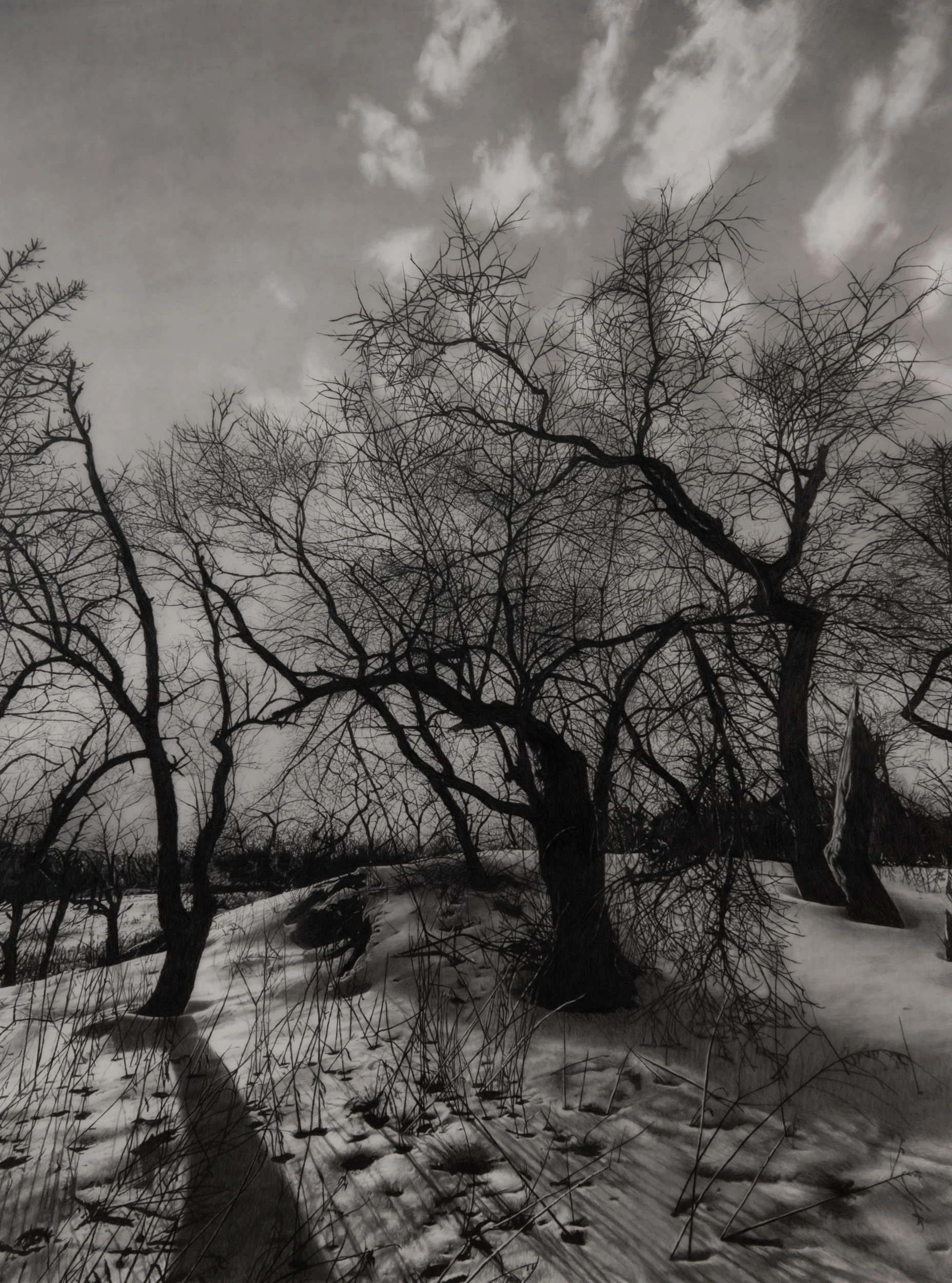  Long Shadows  
33 x 24.5 inches (drawing) 
41 x 32.75 inches (framed) 
Graphite on drafting film 
2026
