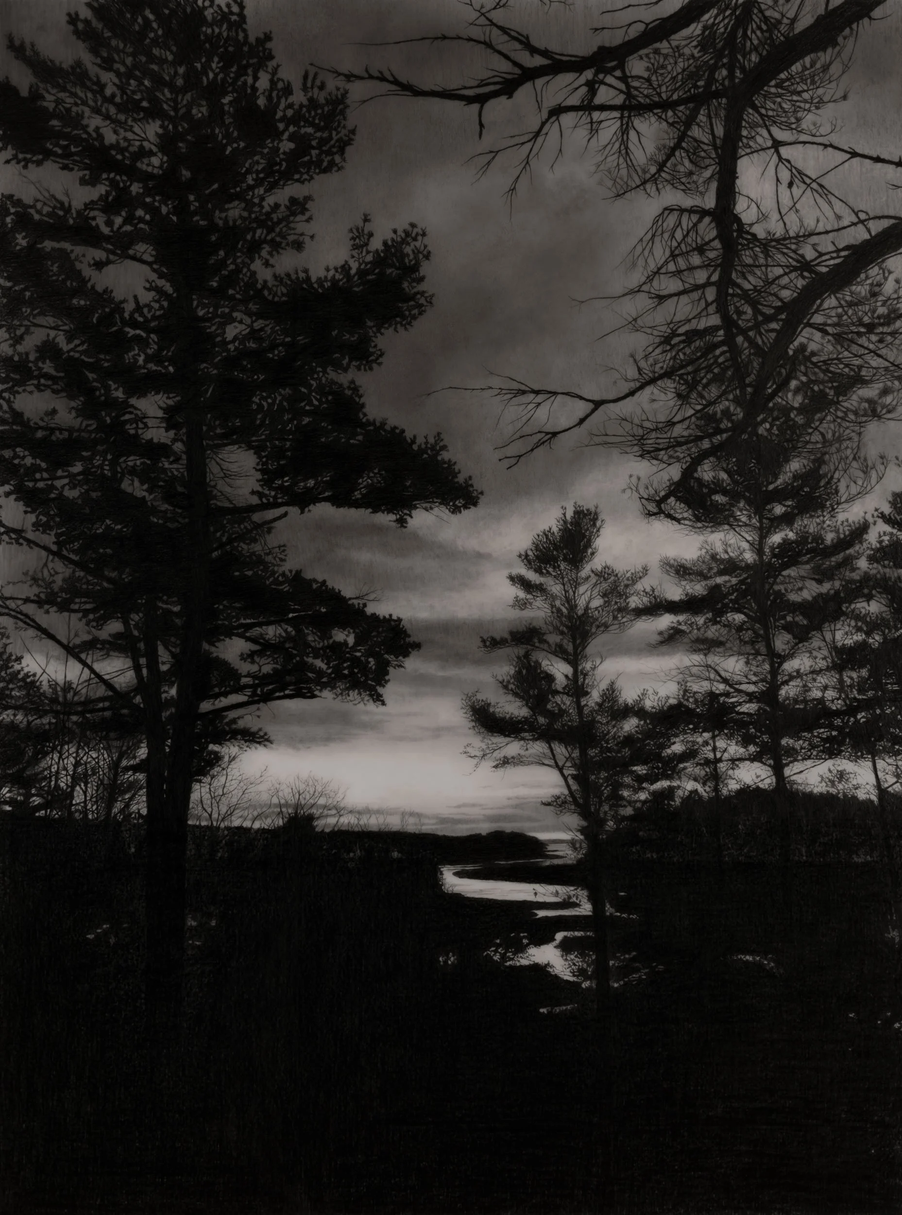  November  
33 x 24.5 inches (drawing) 
41 x 32.75 inches (framed) 
Graphite on drafting film 
2026