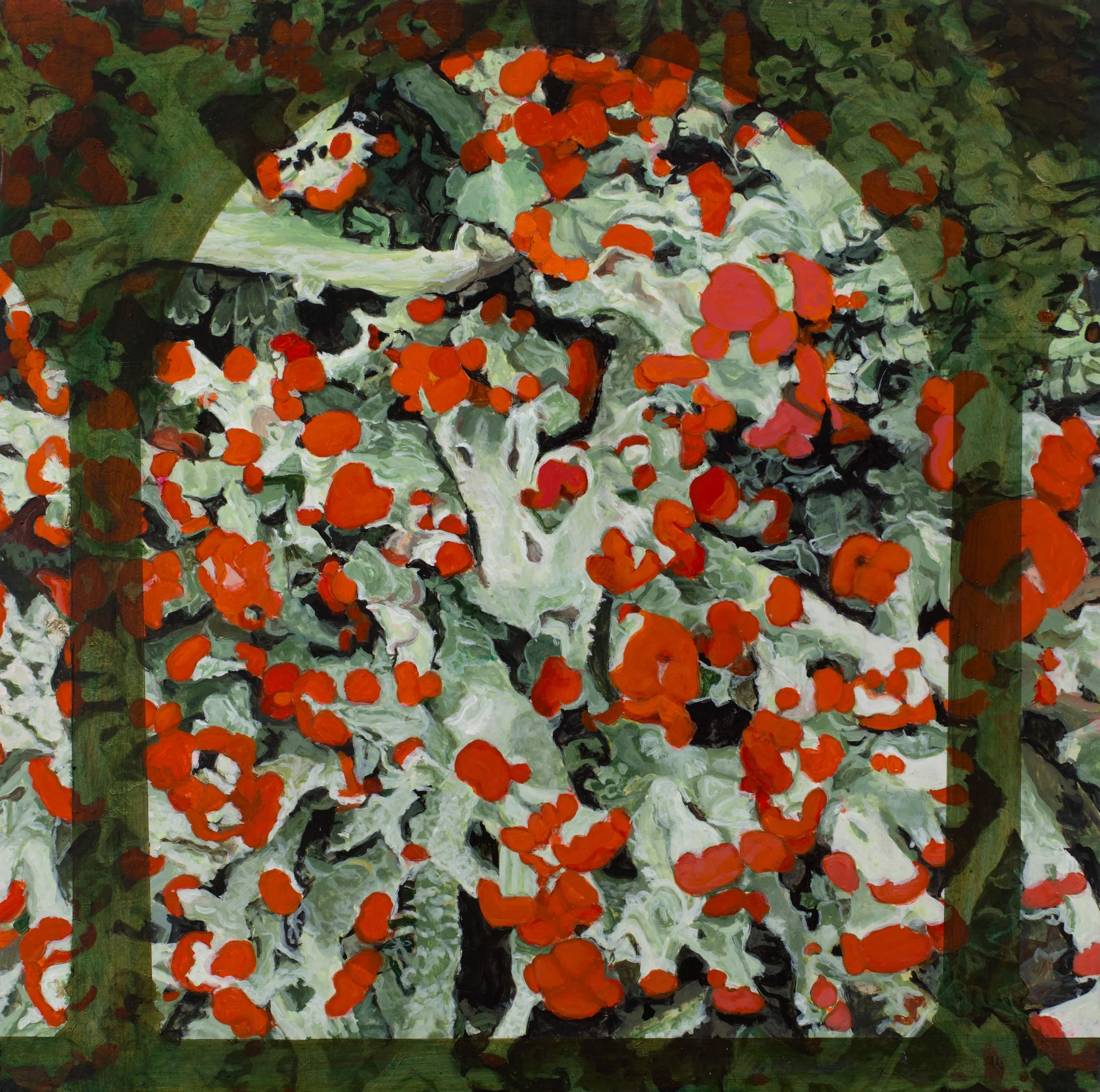  Cladonia  
10 x 10 inches 
Acrylic on panel 
2023