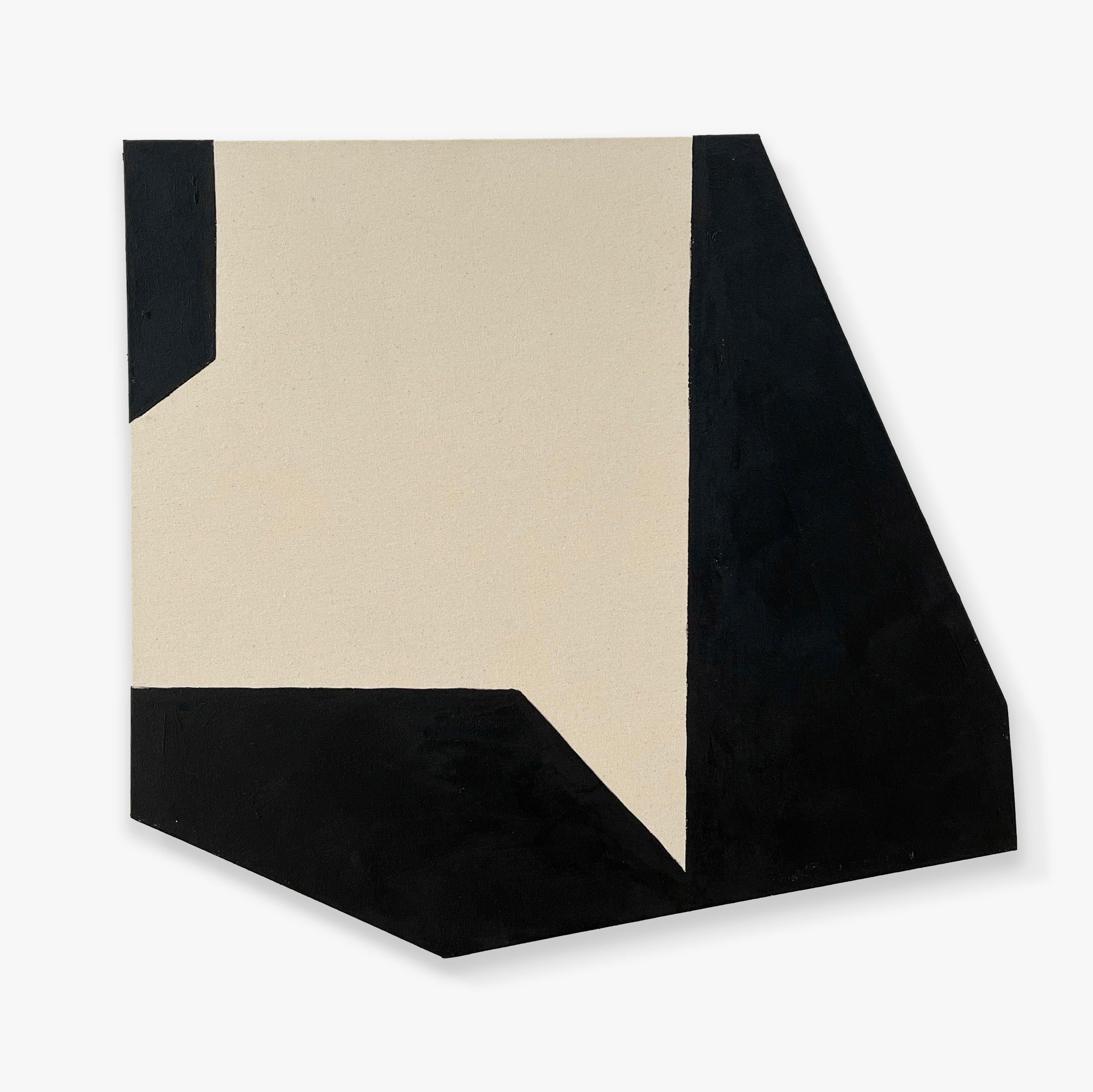  Salient  
23 x 25 inches 
Acrylic on canvas on shaped support 
2010