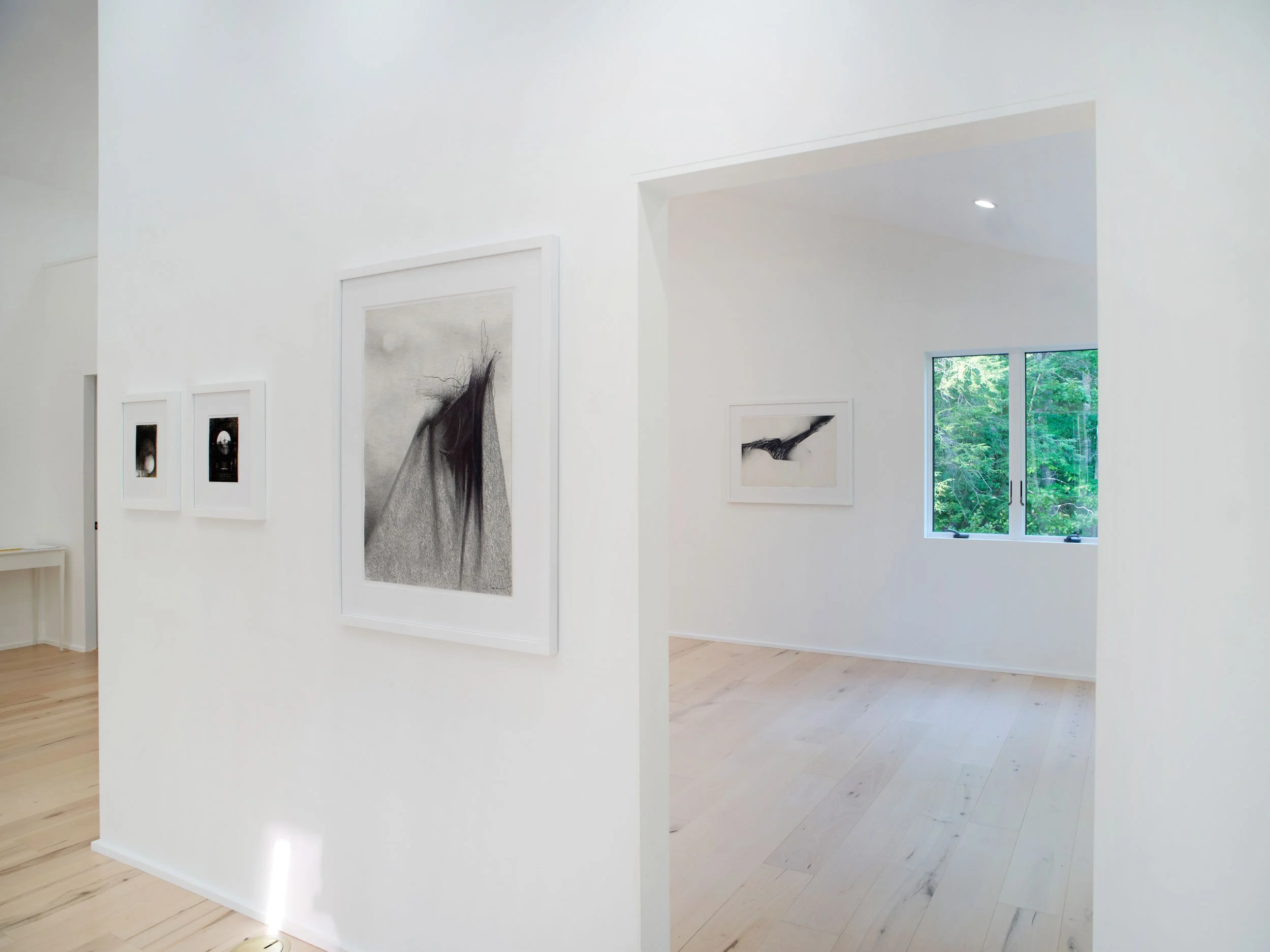 A gallery with white walls and light wood flooring, featuring framed artwork, and a window revealing green foliage outside.