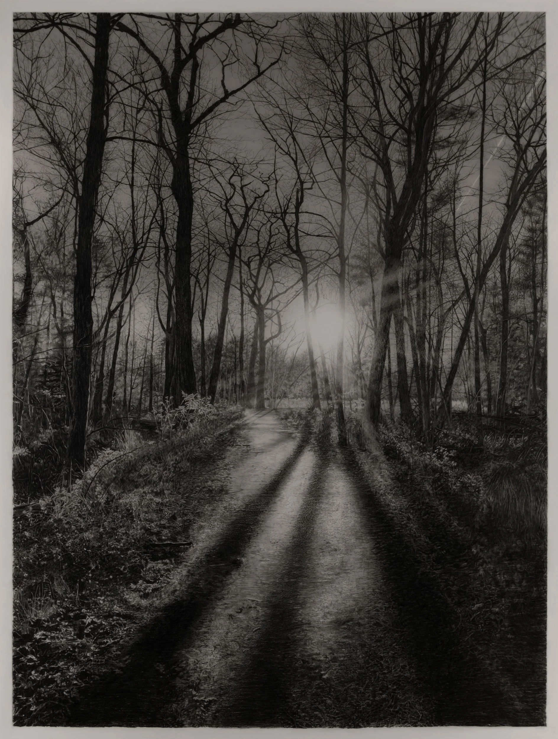  Late Afternoon  
33 x 24.5 inches (drawing) 
41 x 32.75 inches (framed) 
Graphite on drafting film 
2026
