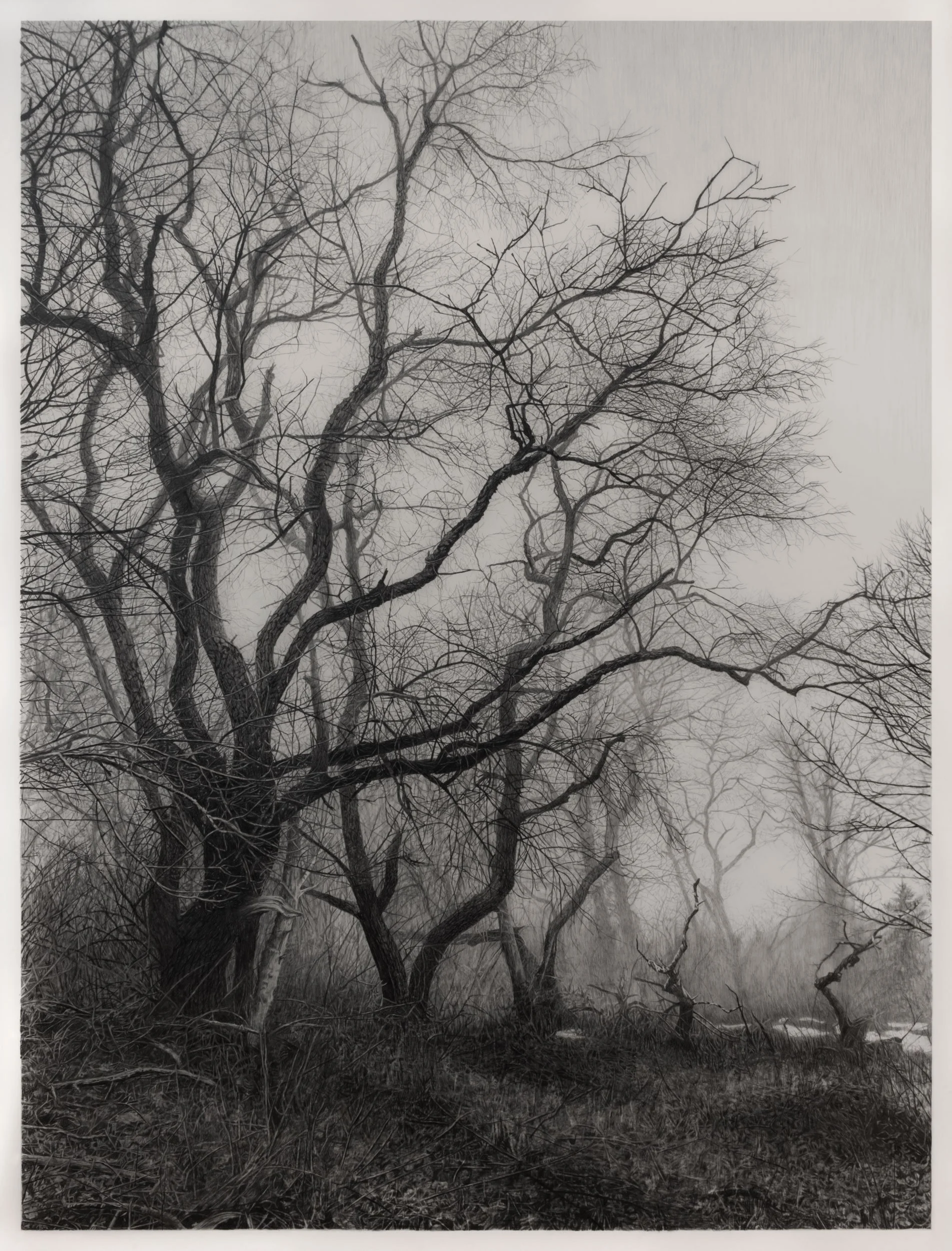  Melting Snow  
33 x 24.5 inches (drawing) 
41 x 32.75 inches (framed) 
Graphite on drafting film 
2026