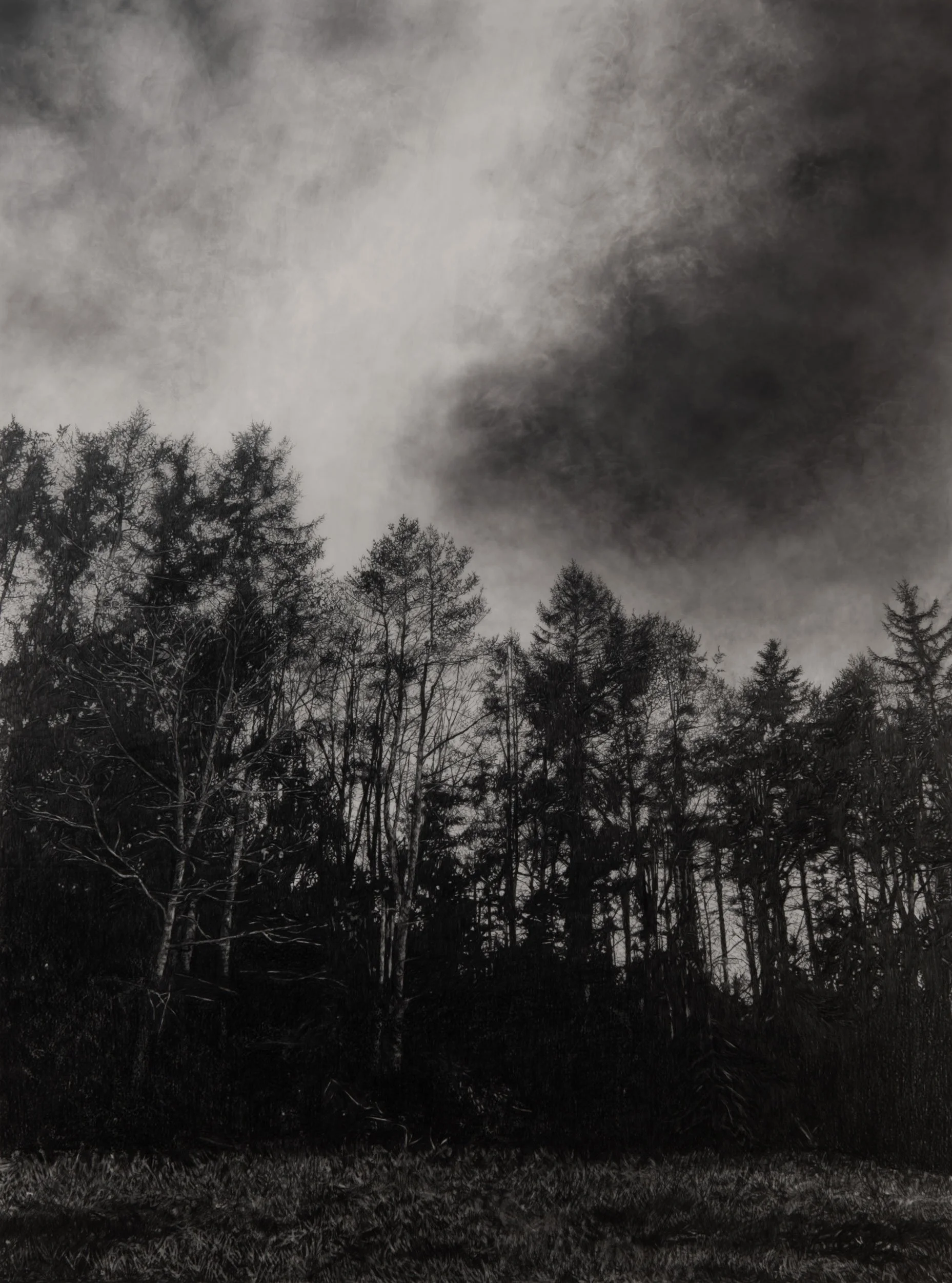  Traveling Sky  
33 x 24.5 inches (drawing) 
41 x 32.75 inches (framed) 
Graphite on drafting film 
2026