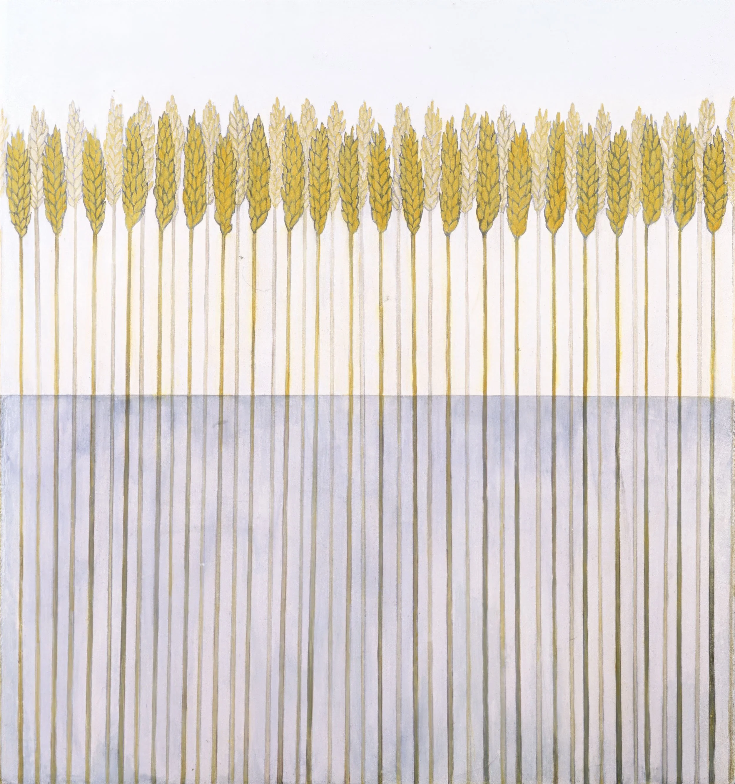 A line of wheat stalks against a white background.
