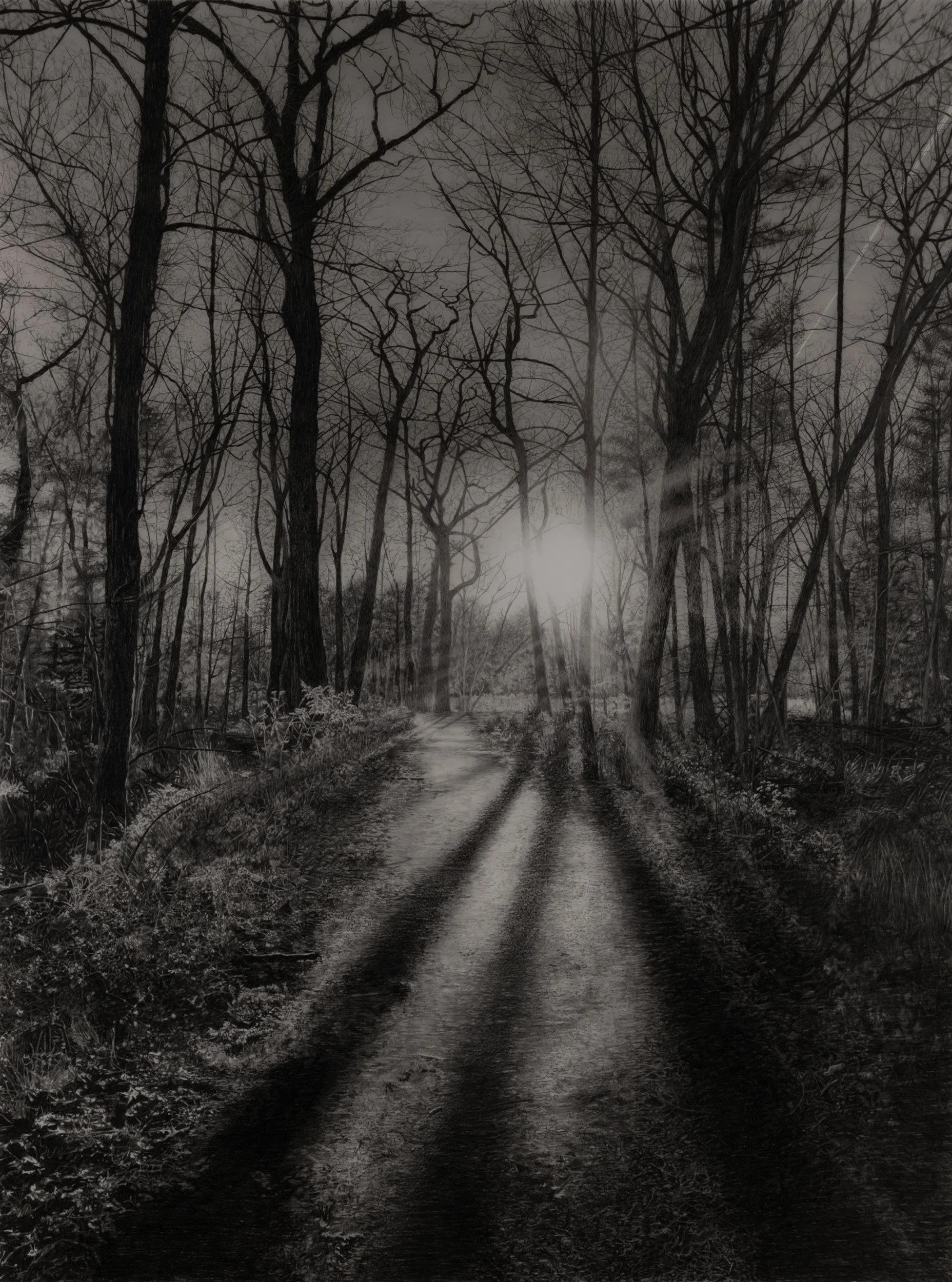  Late Afternoon  
33 x 24.5 inches (drawing) 
41 x 32.75 inches (framed) 
Graphite on drafting film 
2026