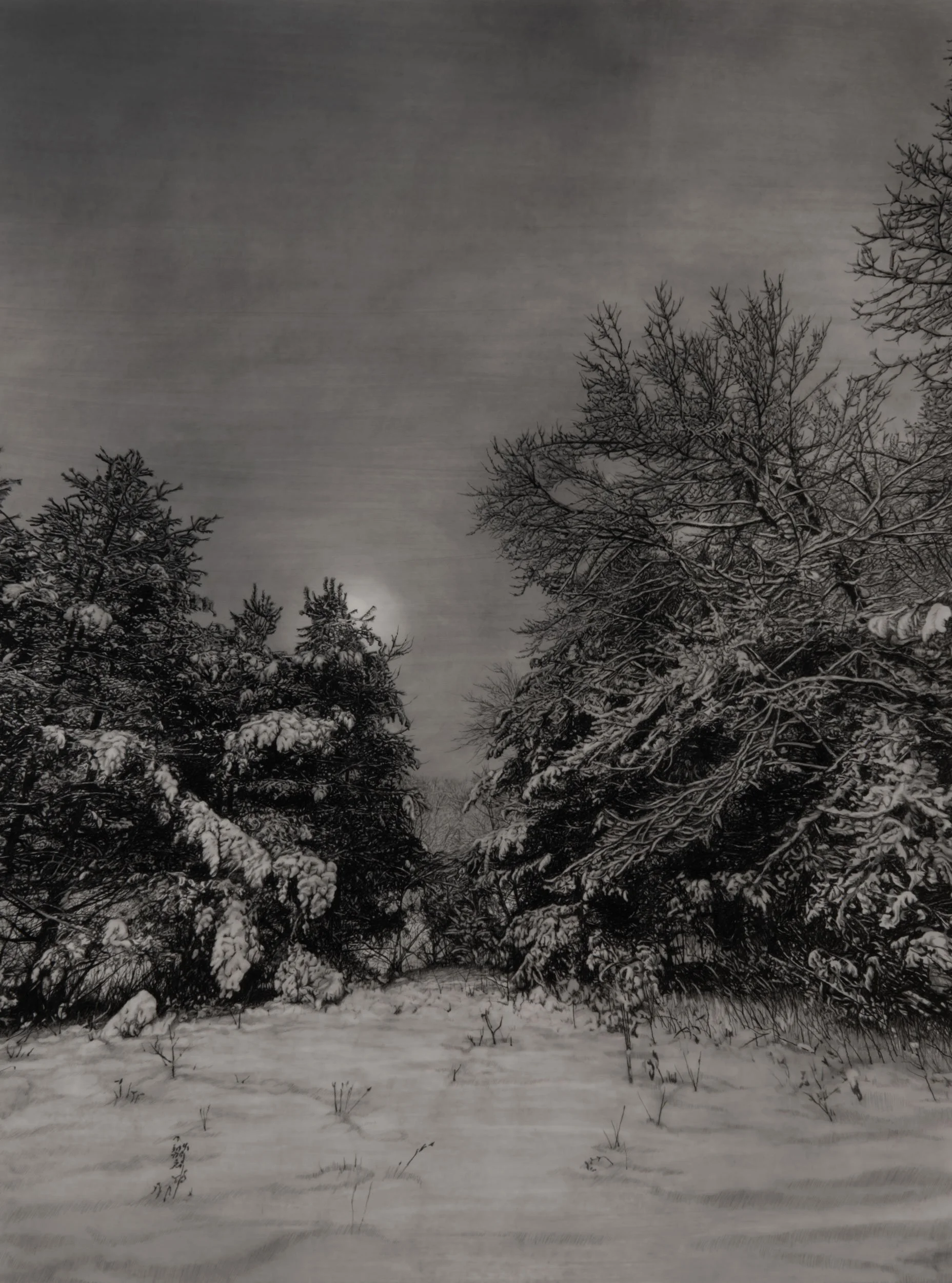 Moonrise  
33 x 24.5 inches (drawing) 
41 x 32.75 inches (framed) 
Graphite on drafting film 
2026