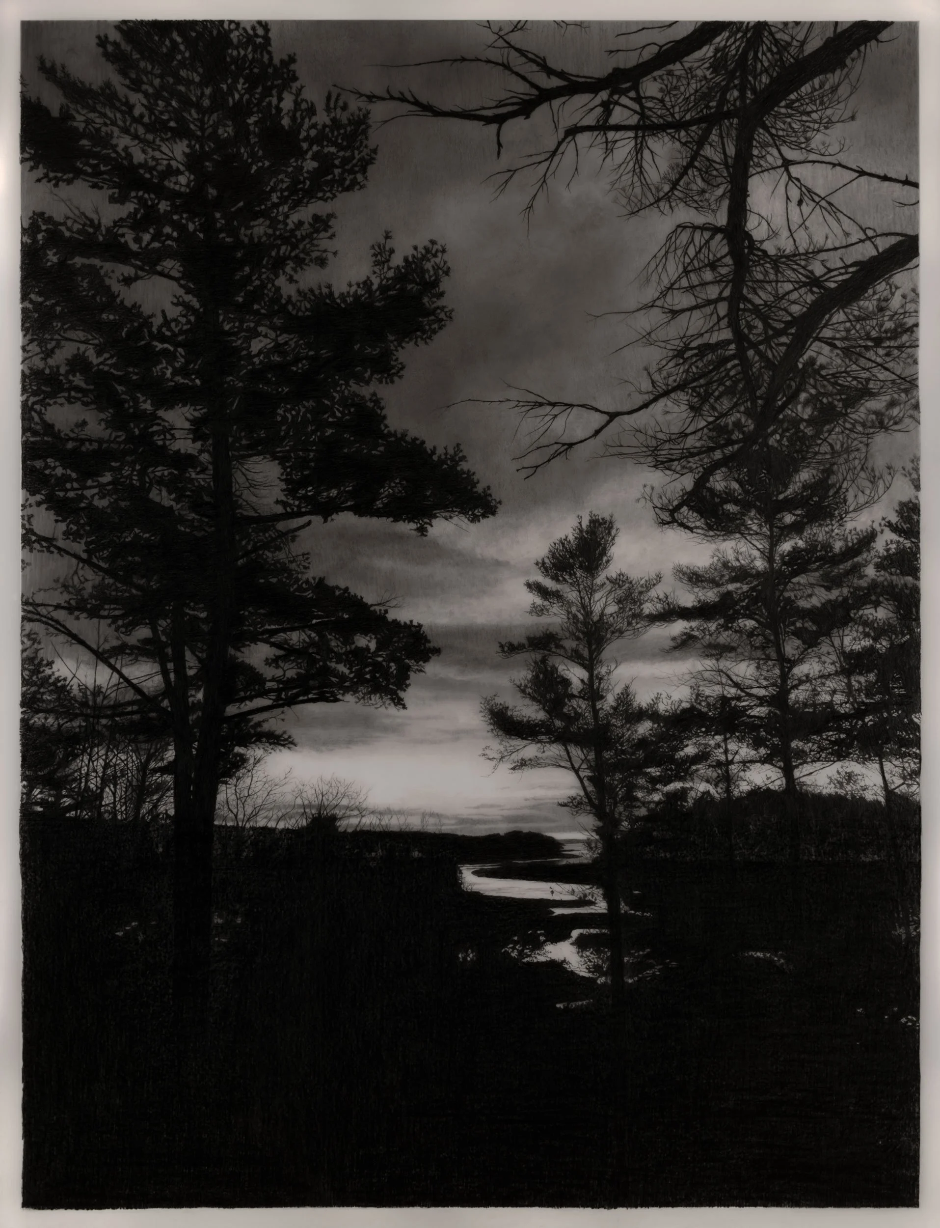  November  
33 x 24.5 inches (drawing) 
41 x 32.75 inches (framed) 
Graphite on drafting film 
2026
