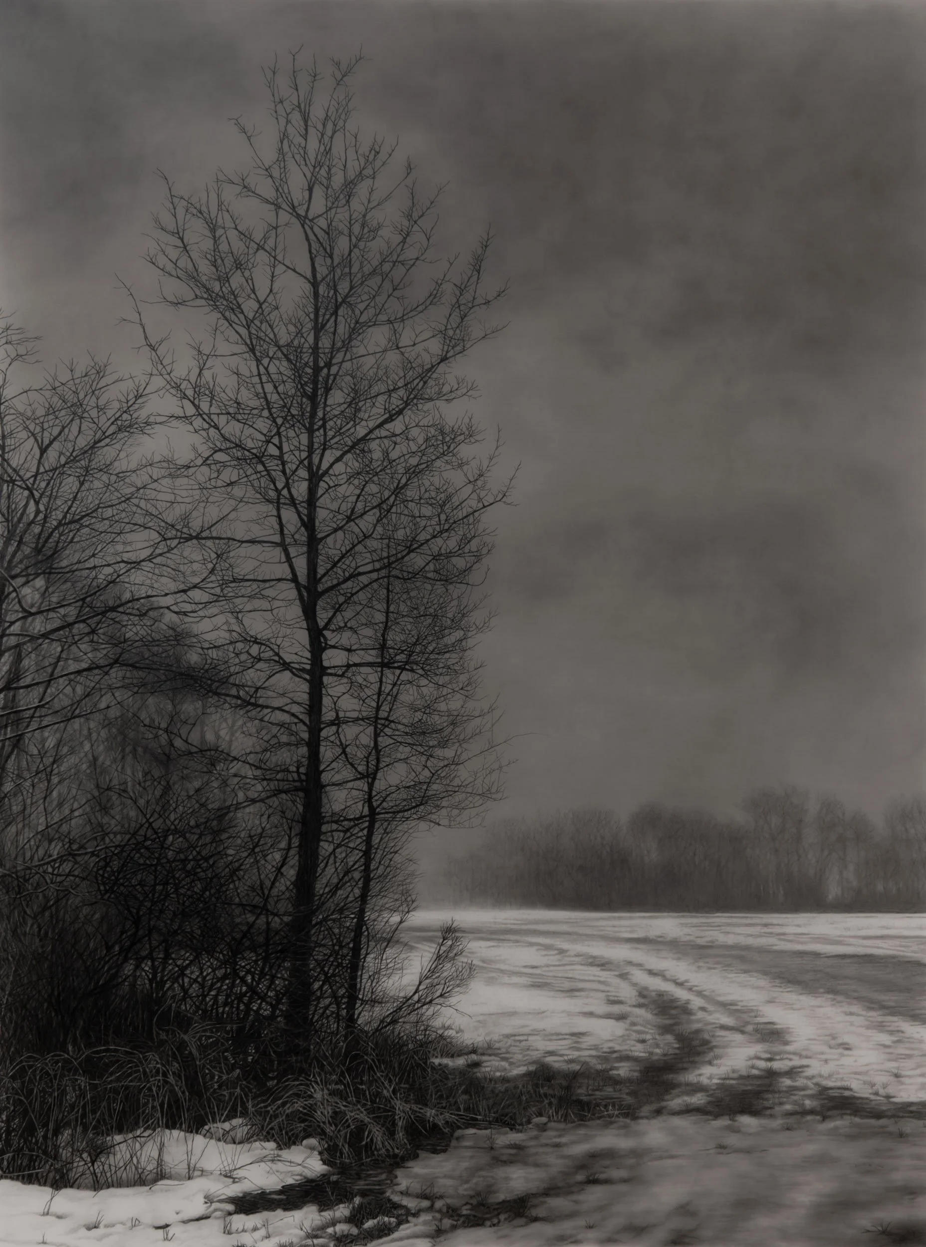  Slow Thaw  
33 x 24.5 inches (drawing) 
41 x 32.75 inches (framed) 
Graphite on drafting film 
2025