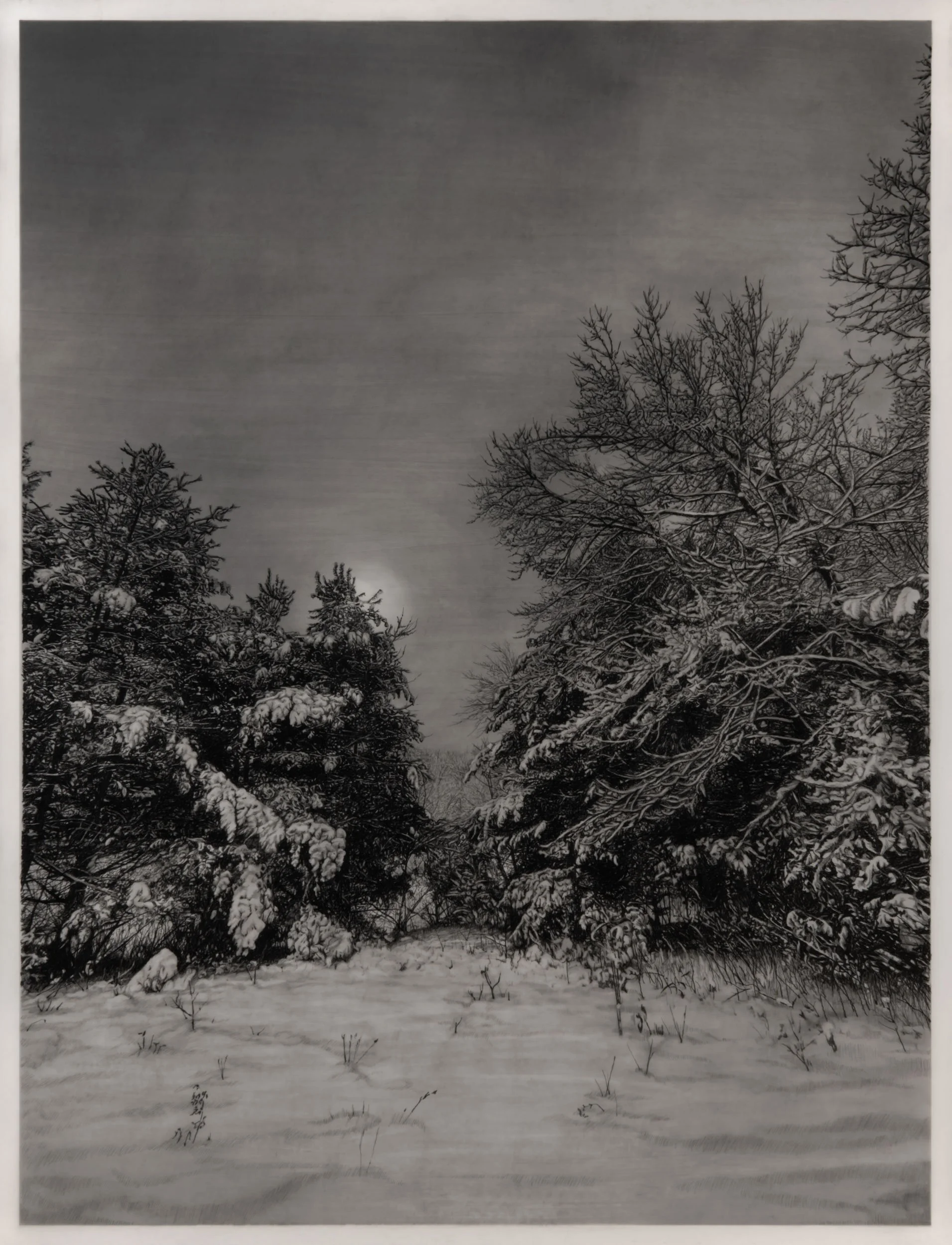  Moonrise  
33 x 24.5 inches (drawing) 
41 x 32.75 inches (framed) 
Graphite on drafting film 
2026 [sold]