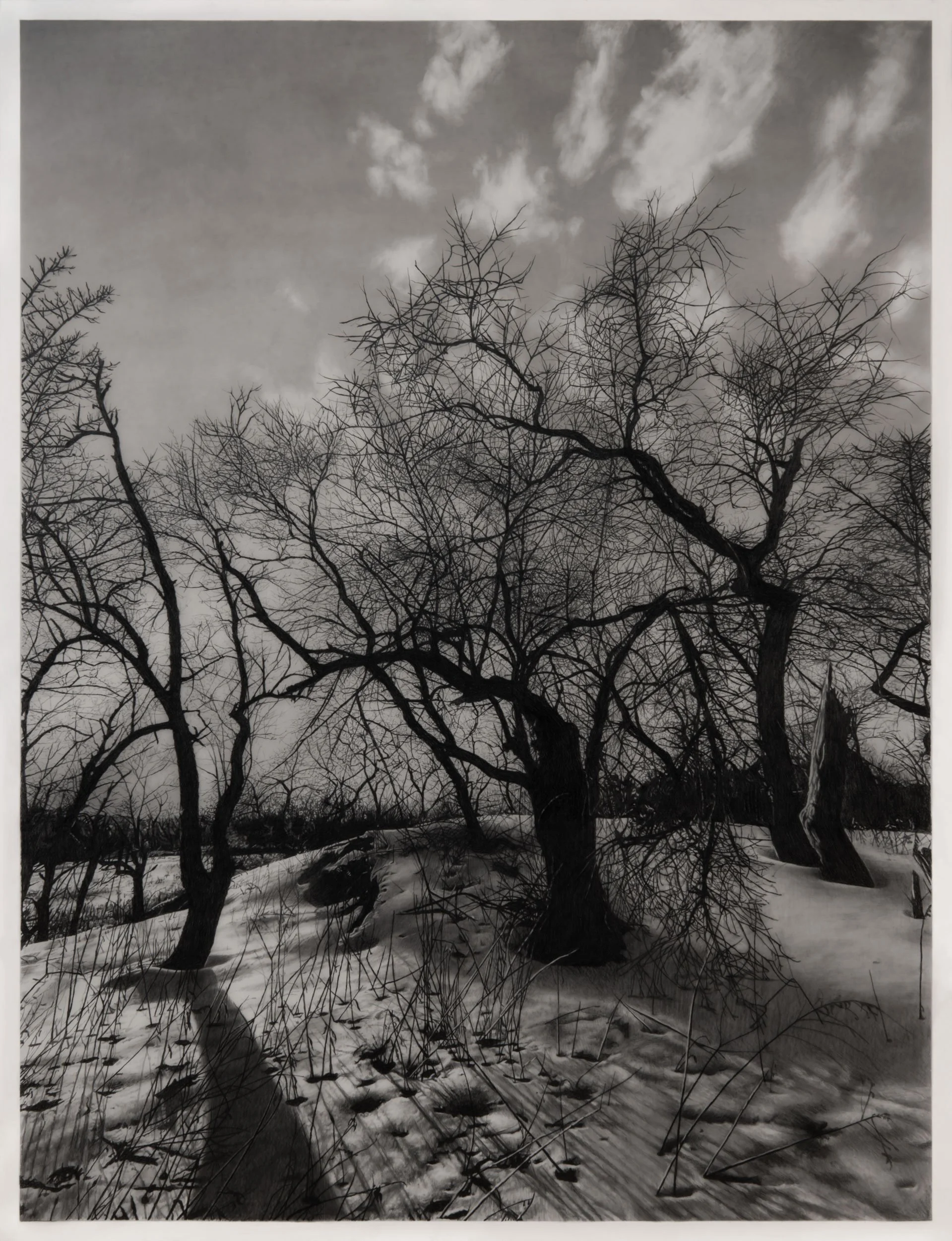  Long Shadows  
33 x 24.5 inches (drawing) 
41 x 32.75 inches (framed) 
Graphite on drafting film 
2026