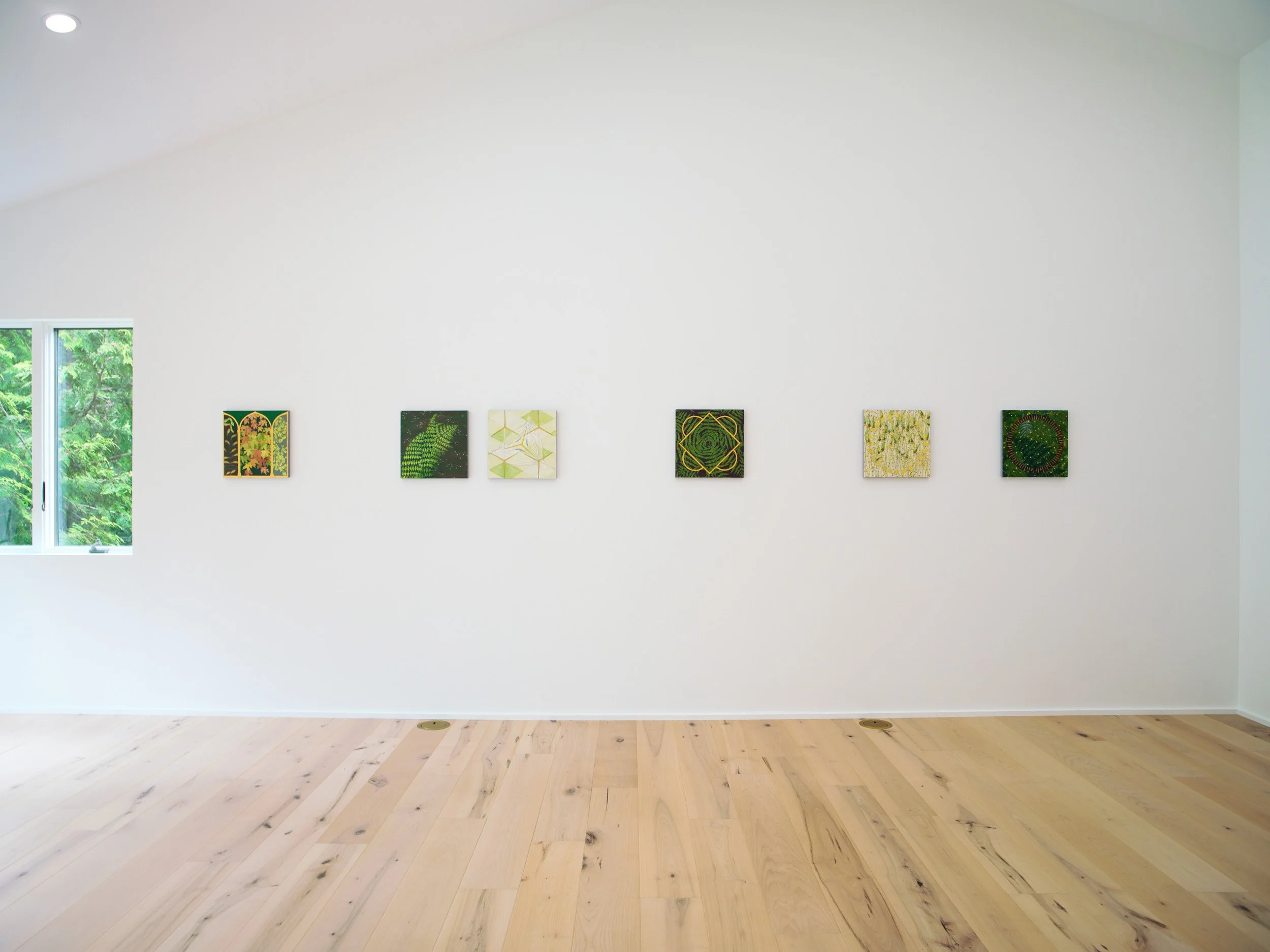 Interior of an art gallery with a white wall displaying six colorful abstract paintings and a large window showing greenery outside.