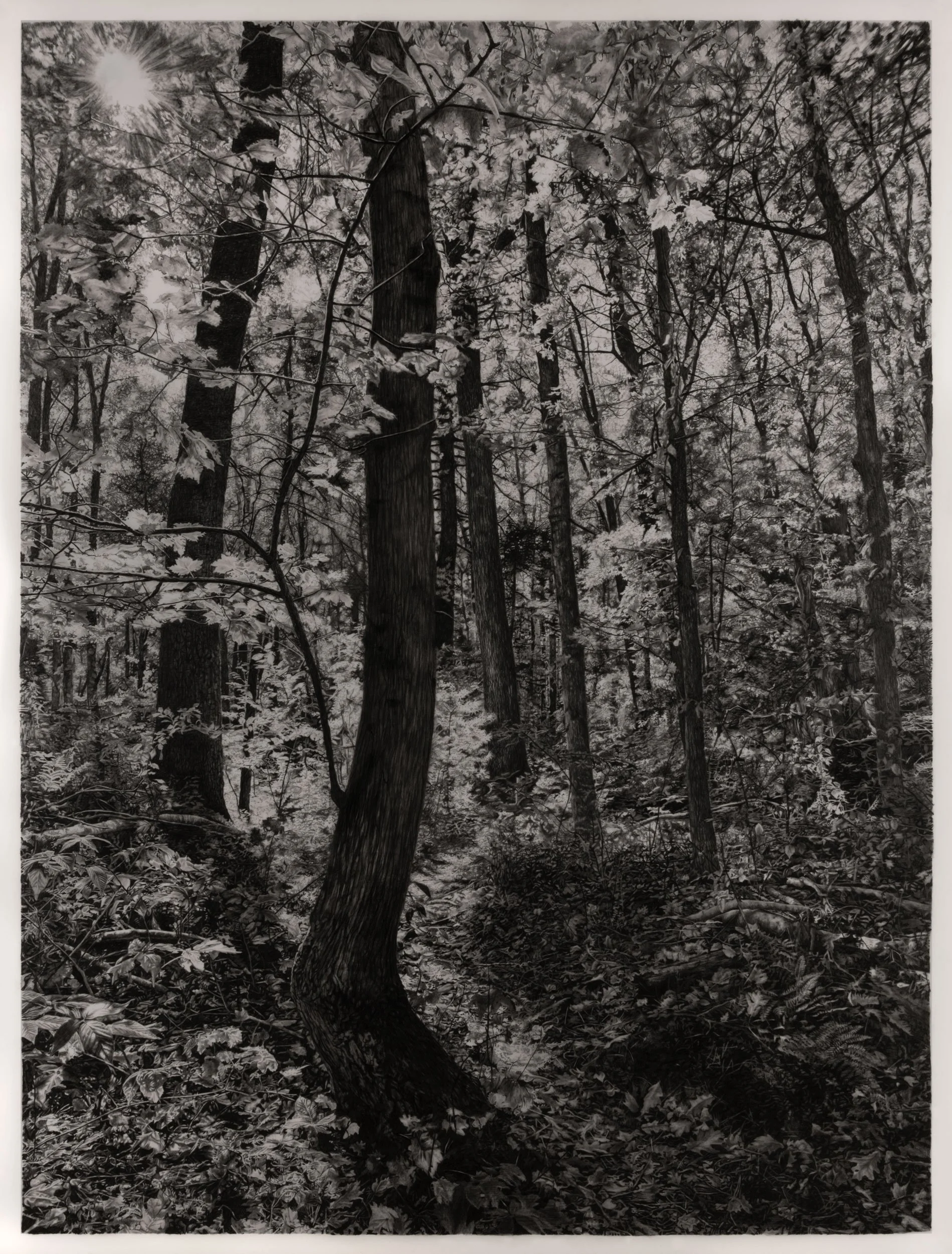  Midsummer  
33 x 24.5 inches (drawing) 
41 x 32.75 inches (framed) 
Graphite on drafting film 
2024 [sold]