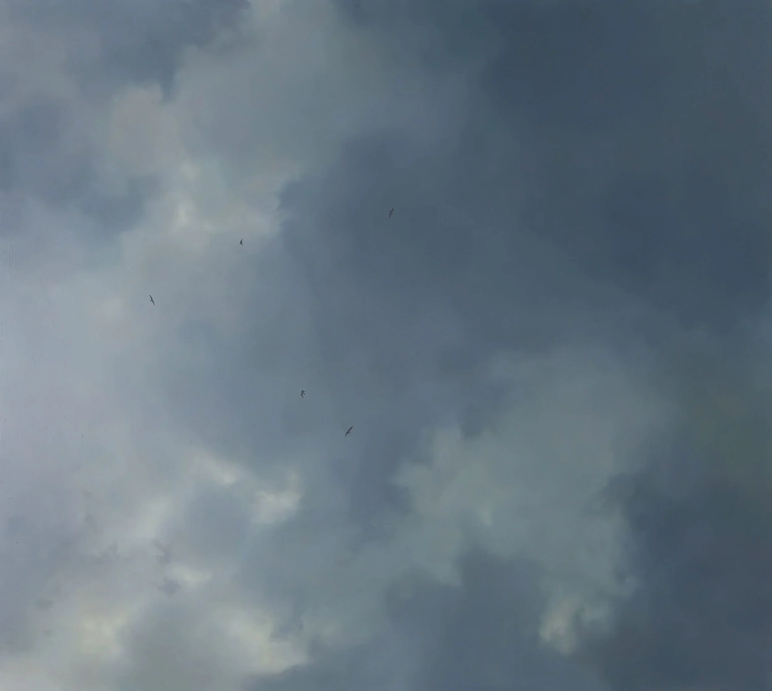  Updraft  
48 x 54 inches  
Acrylic on canvas  
2014 [paintings]