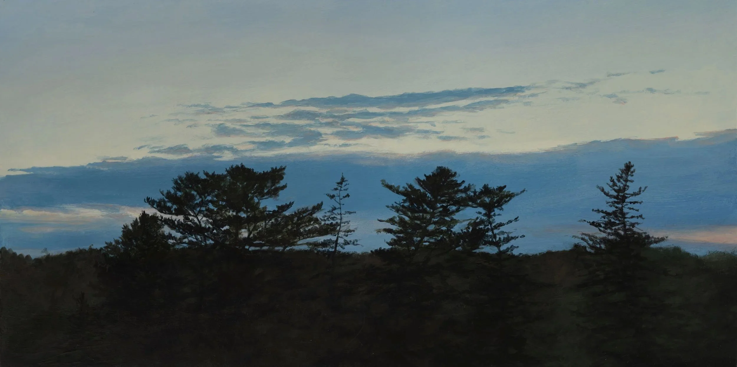  Pines near the river  
12 x 24 inches  
Acrylic on panel  
2023 [paintings]