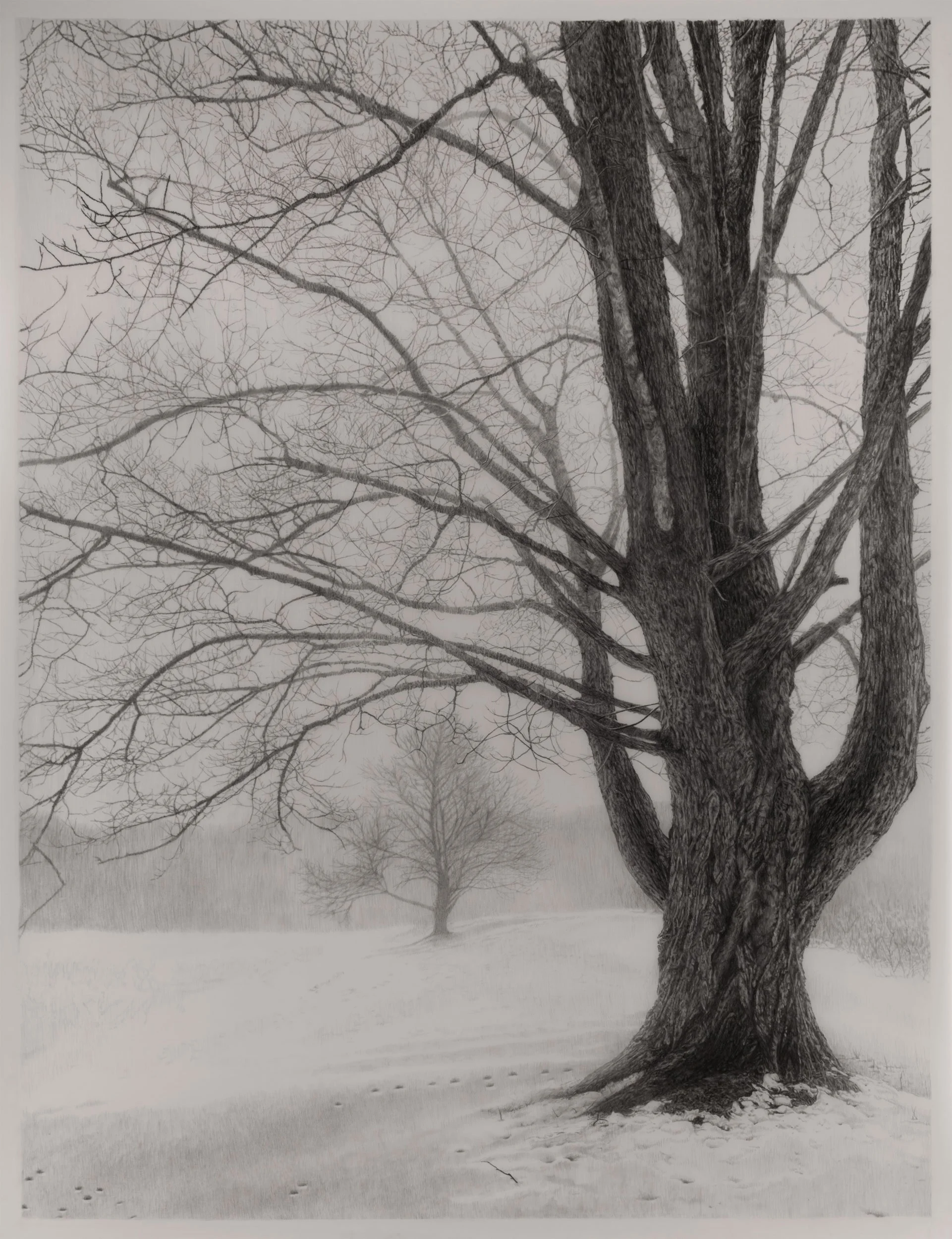 First Snow  
33 x 24.5 inches (drawing) 
41 x 32.75 inches (framed) 
Graphite on drafting film 
2026 [sold]