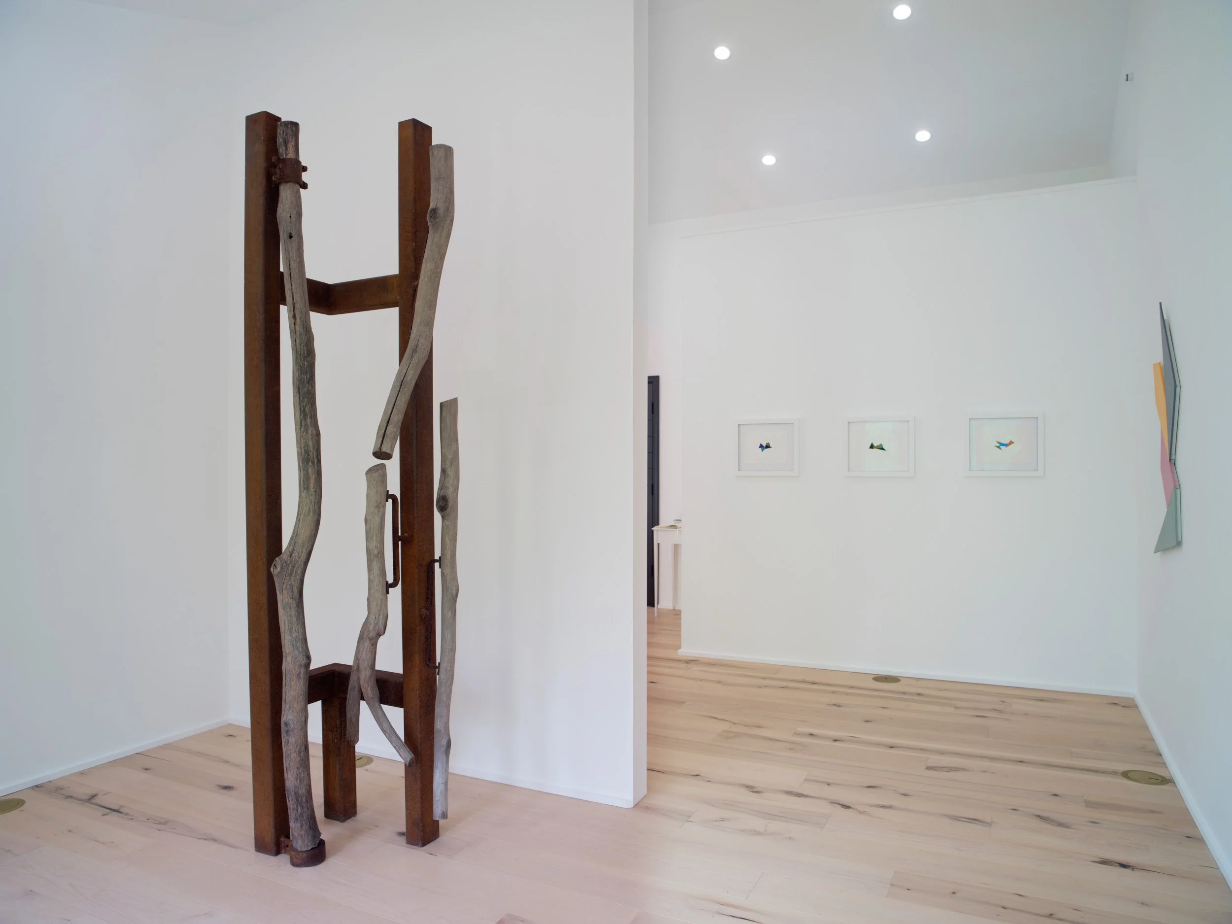 Interior view of an art gallery with white walls, three framed bird illustrations on the far wall, a wooden sculpture with branches on the ground, and a doorway leading to another room.