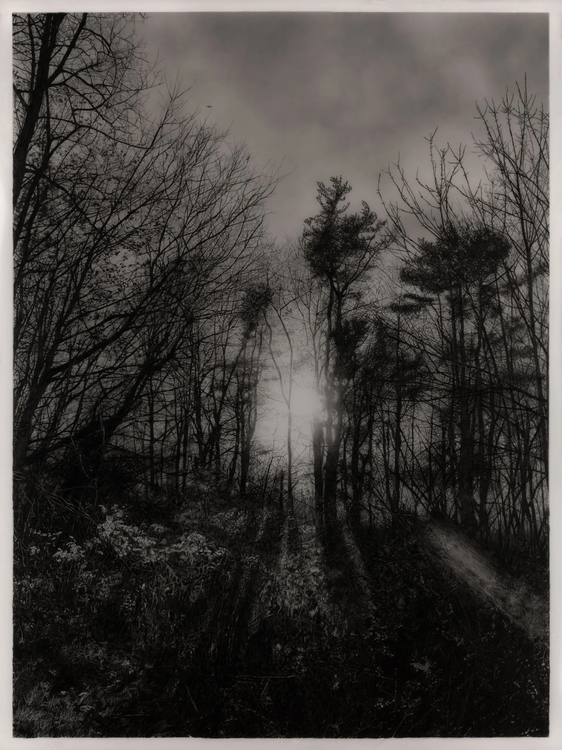  Winter Sunset  
33 x 24.5 inches (drawing) 
41 x 32.75 inches (framed) 
Graphite on drafting film 
2025