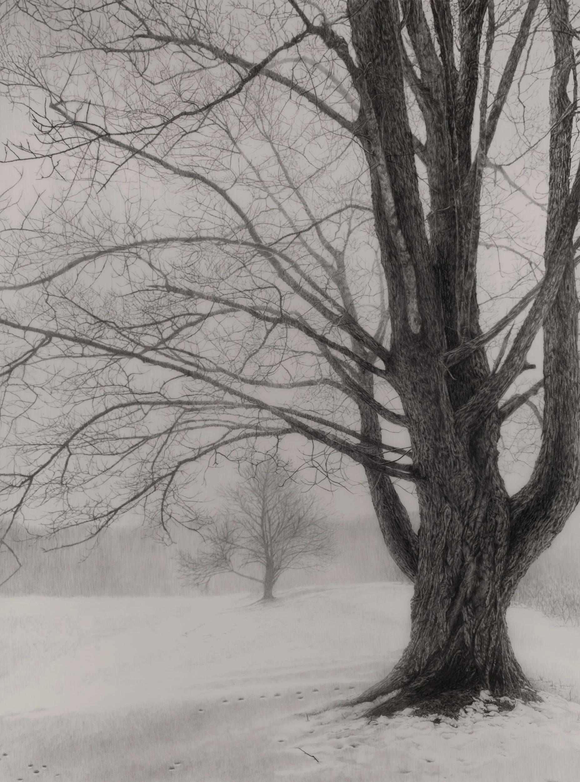  First Snow  
33 x 24.5 inches (drawing) 
41 x 32.75 inches (framed) 
Graphite on drafting film 
2026