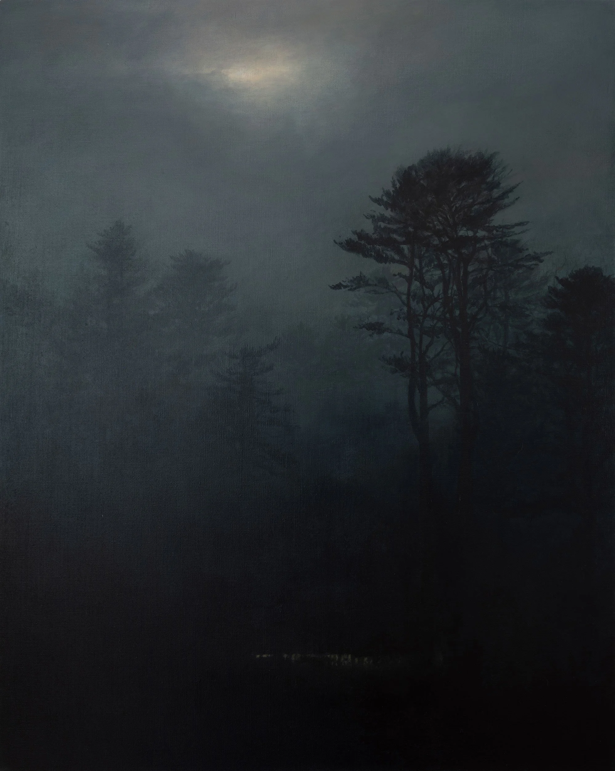  Vernal pool  
40 x 32 inches  
Acrylic on linen  
2024