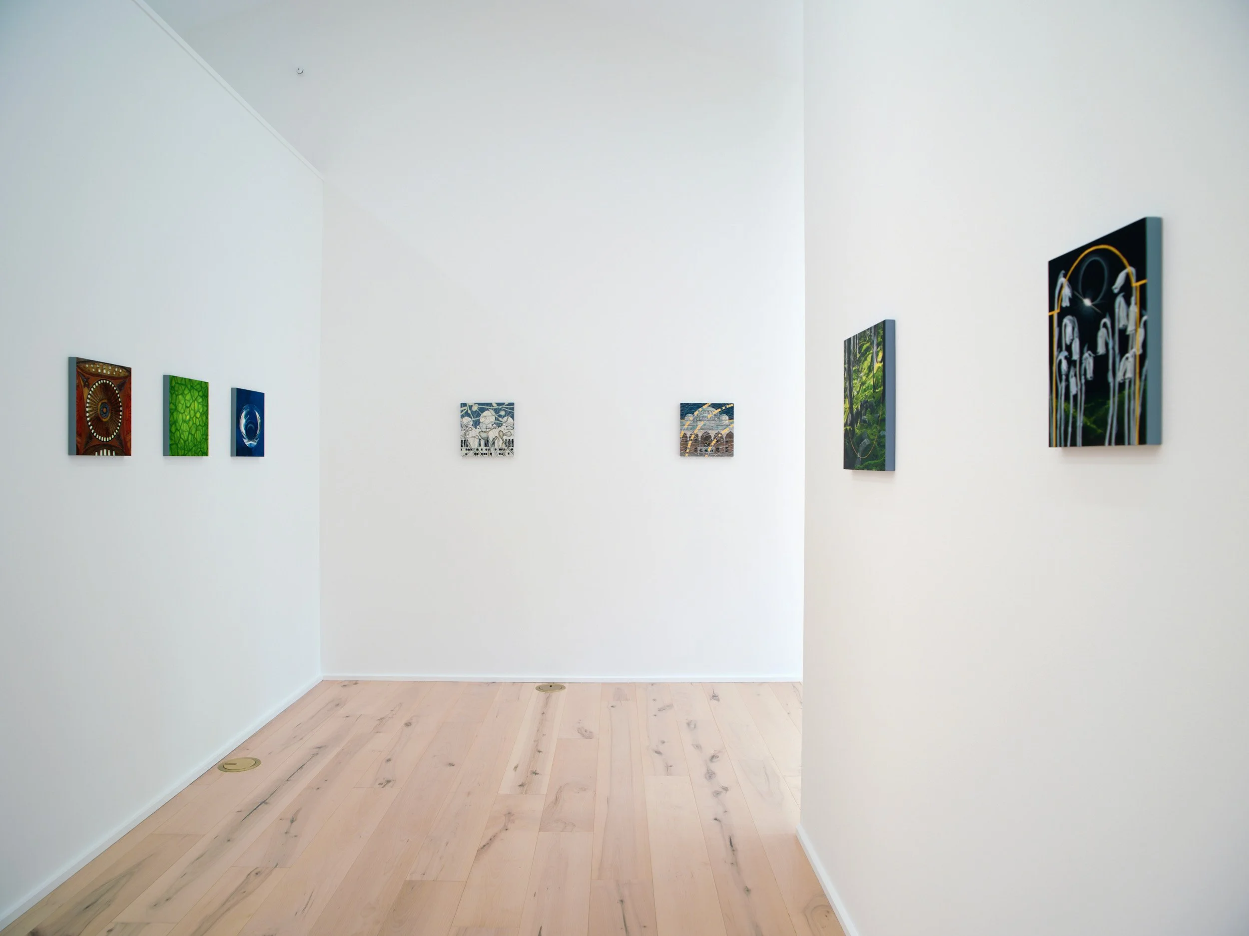 An art gallery with white walls and light wooden floors displaying several colorful artworks in various sizes. The paintings include abstract patterns, nature scenes, and stylized images.