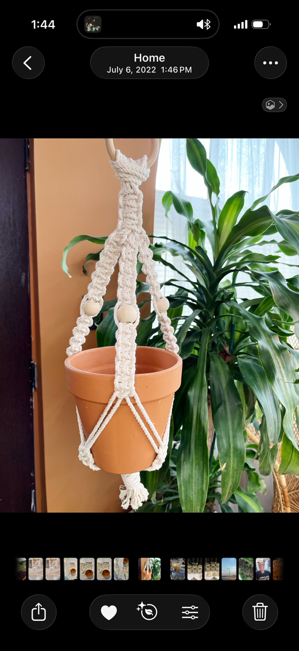 Macrame Plant Hanger Class $35/Person