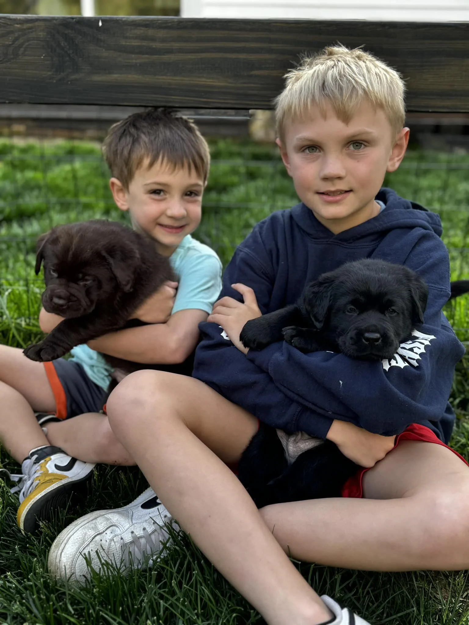 Two young boys sitting on grass holding black puppies, with a wooden railing behind them and a green background.