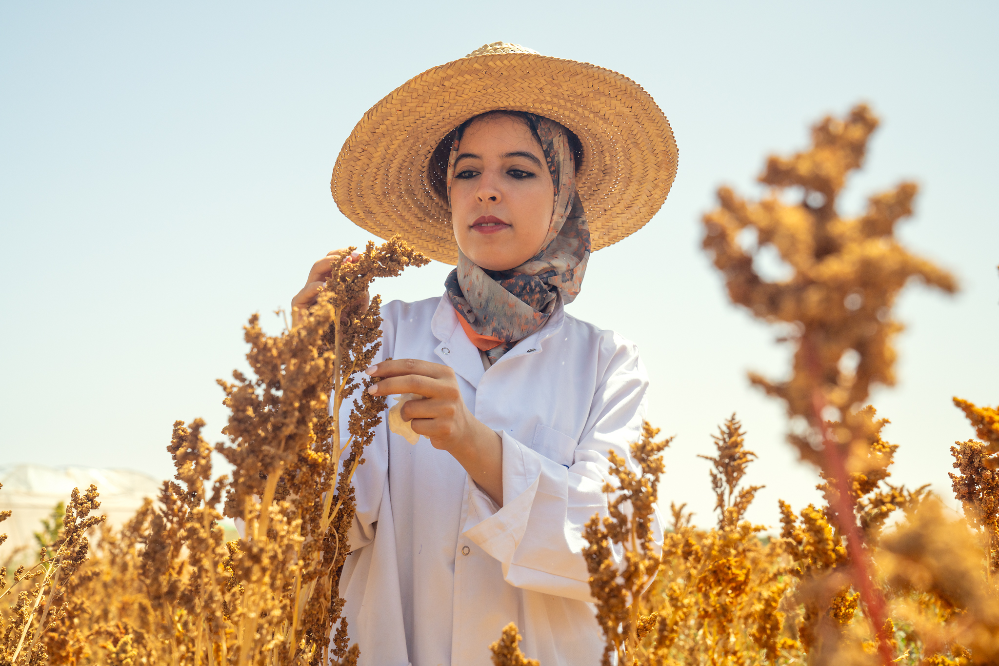 230719-OCP-04416 2.webp