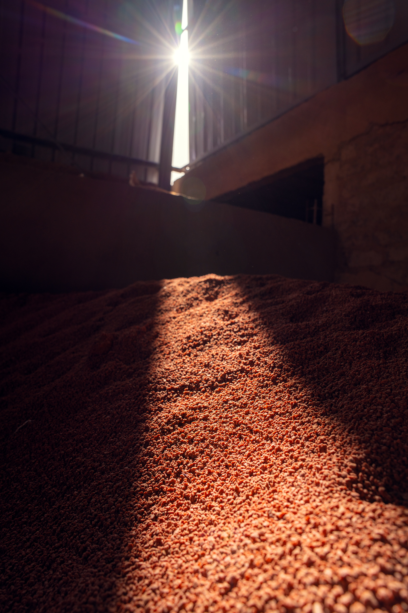 230719-OCP-08347 2.webp