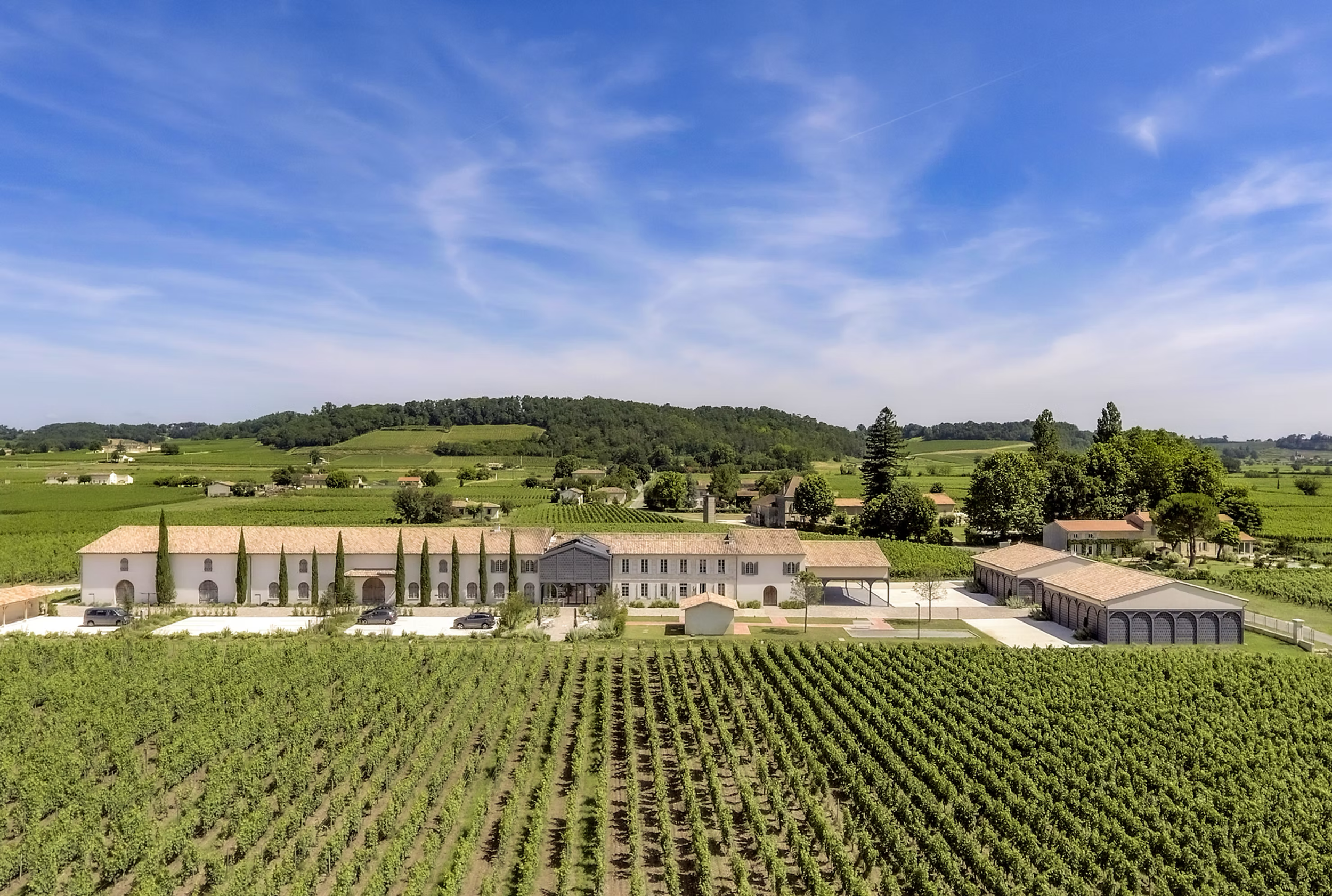 Vineyard with rows of grapevines in the foreground, a large white building with a tiled roof, surrounded by trees, and rolling green hills under a blue sky with wispy clouds in the background.