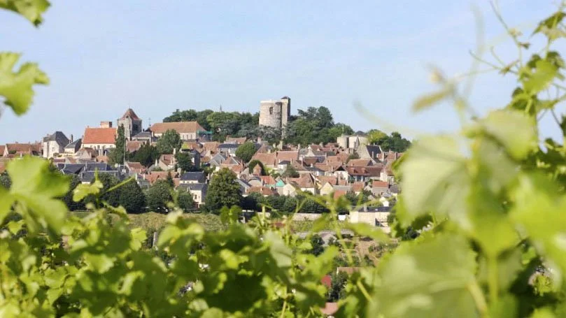 Domaine Gueneau