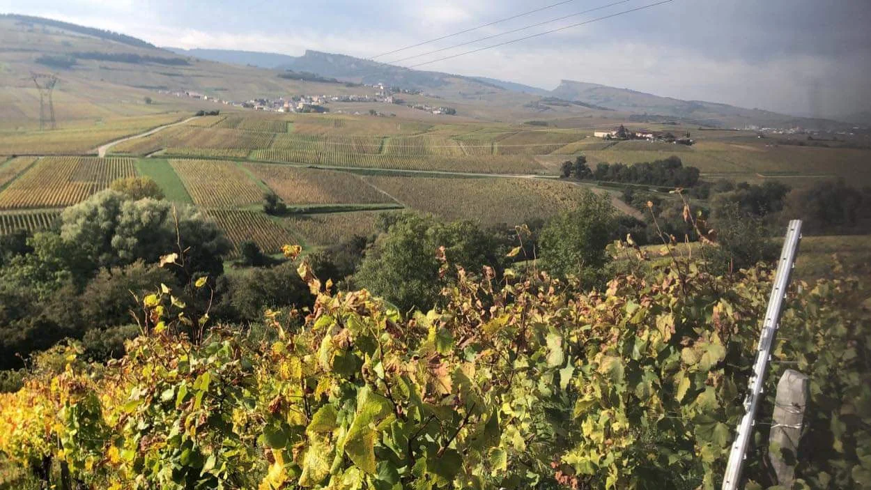 Domaine Alexis Pollier