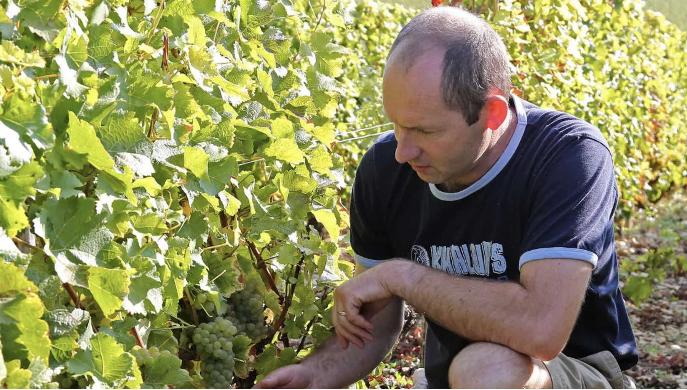 Domaine Didier Raimbault