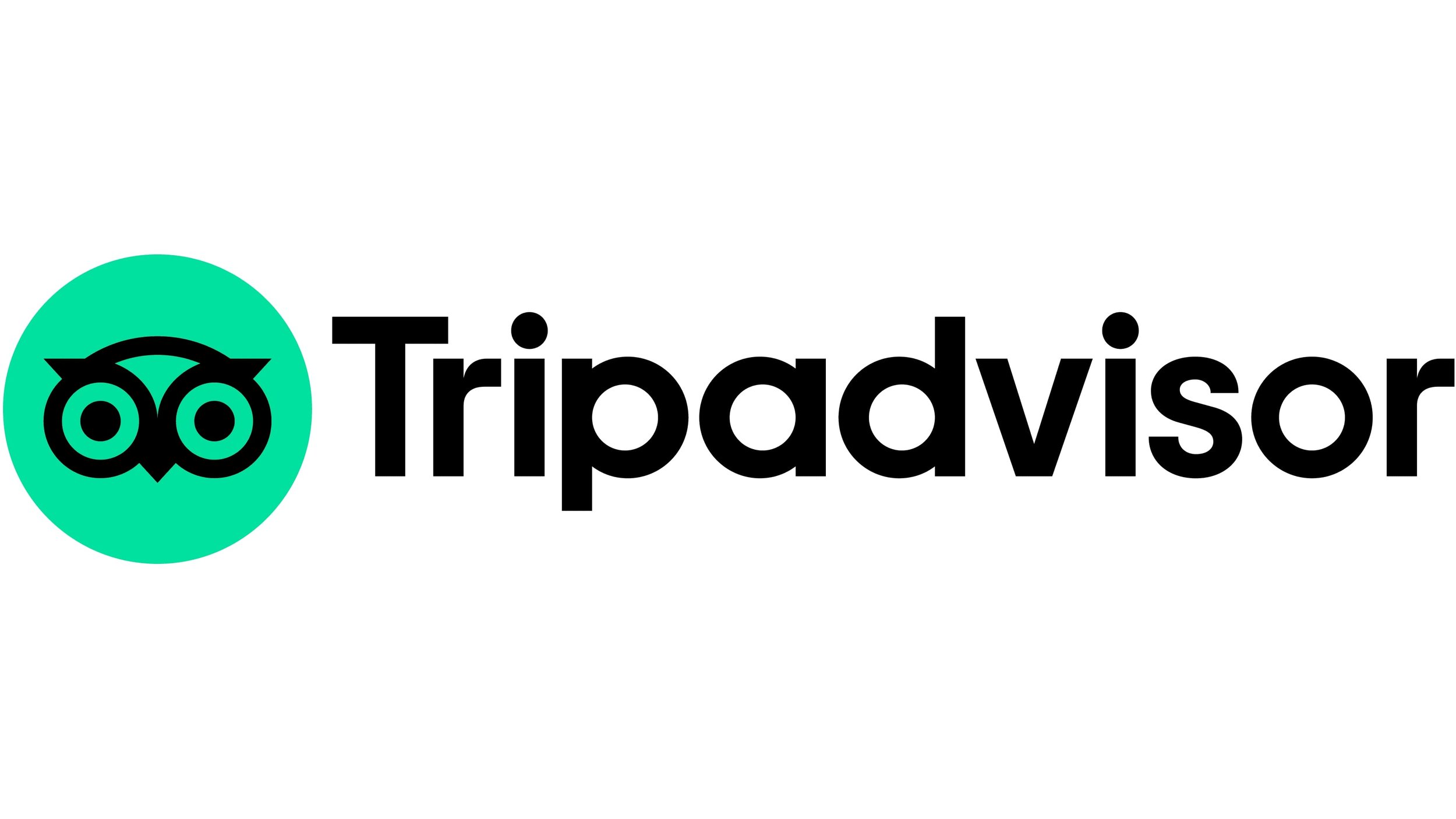 Tripadvisor logo with a stylized owl face icon and the text 'Tripadvisor' in black.