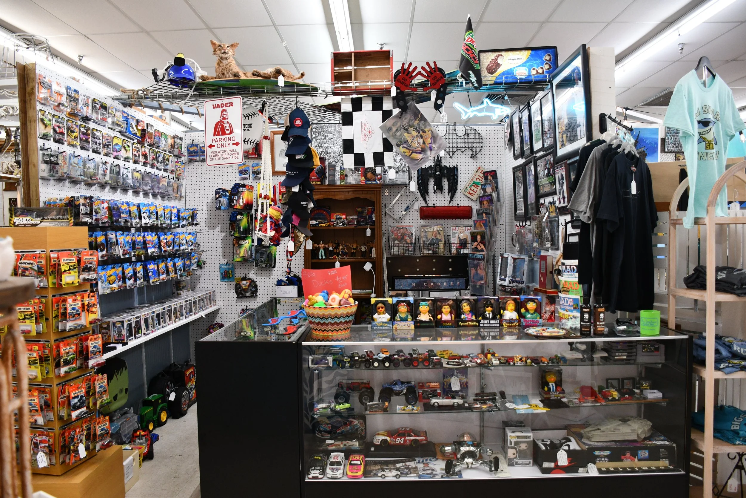 Interior of a collectibles store with shelves displaying toy cars, action figures, framed pictures, hats, and various memorabilia, including a cat plush on the top shelf.