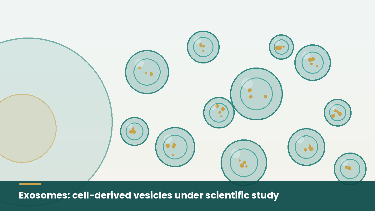 Illustration of exosomes as tiny cell-derived vesicles released from a parent cell under scientific study