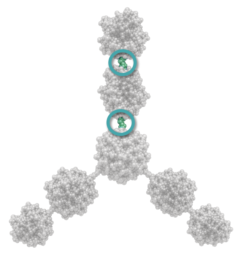 A molecular model of a central atom surrounded by six clusters of atoms in a tetrahedral arrangement.