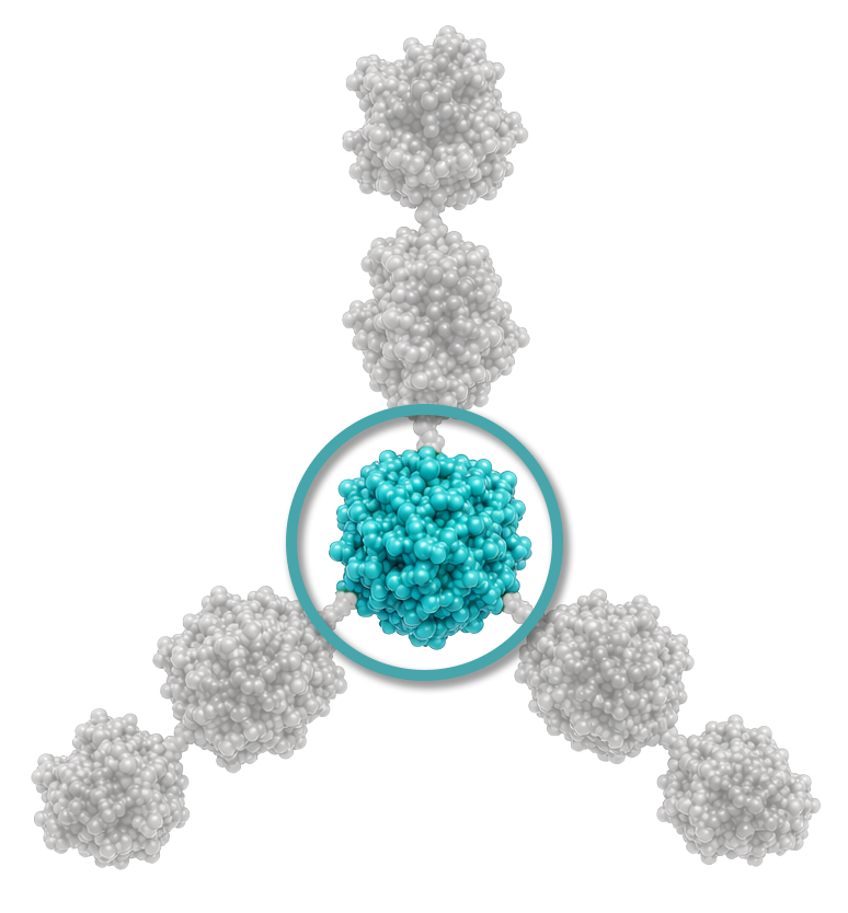 Molecular model illustrating a central teal molecule connected to five surrounding gray molecules.