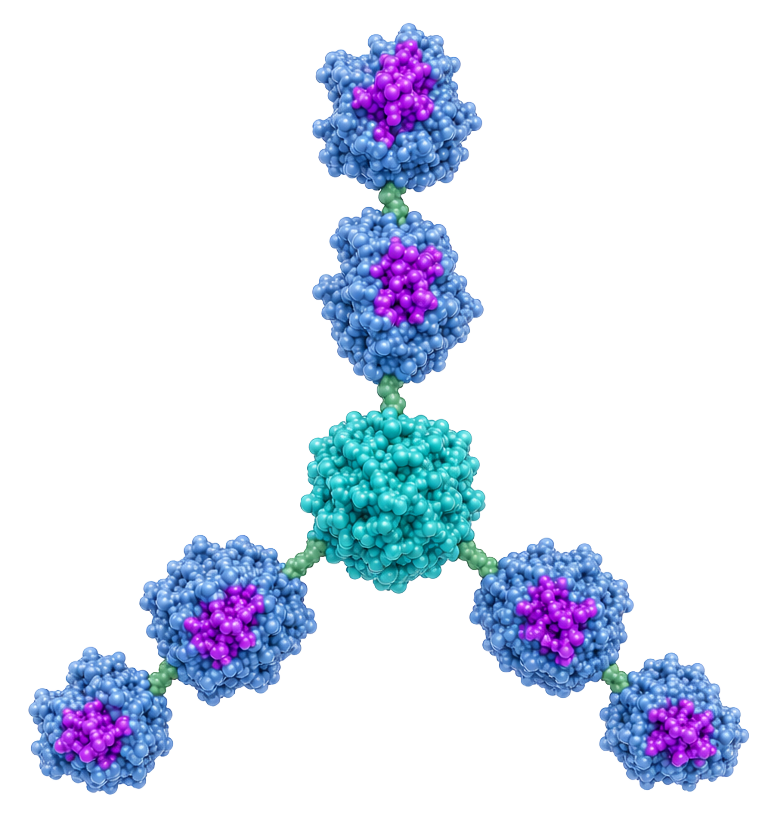 Molecular model illustrating a central molecule with connected smaller molecules, showing atomic structures and chemical bonds.