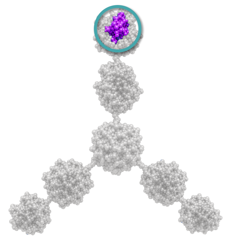 Molecular model showing a central molecule connected to five surrounding molecules, with an inset zoomed view of one molecule at the top.
