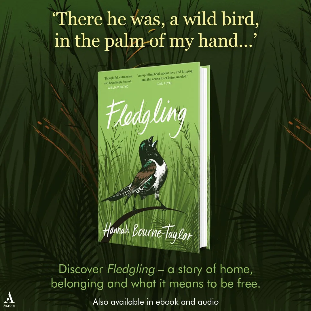Fledgling