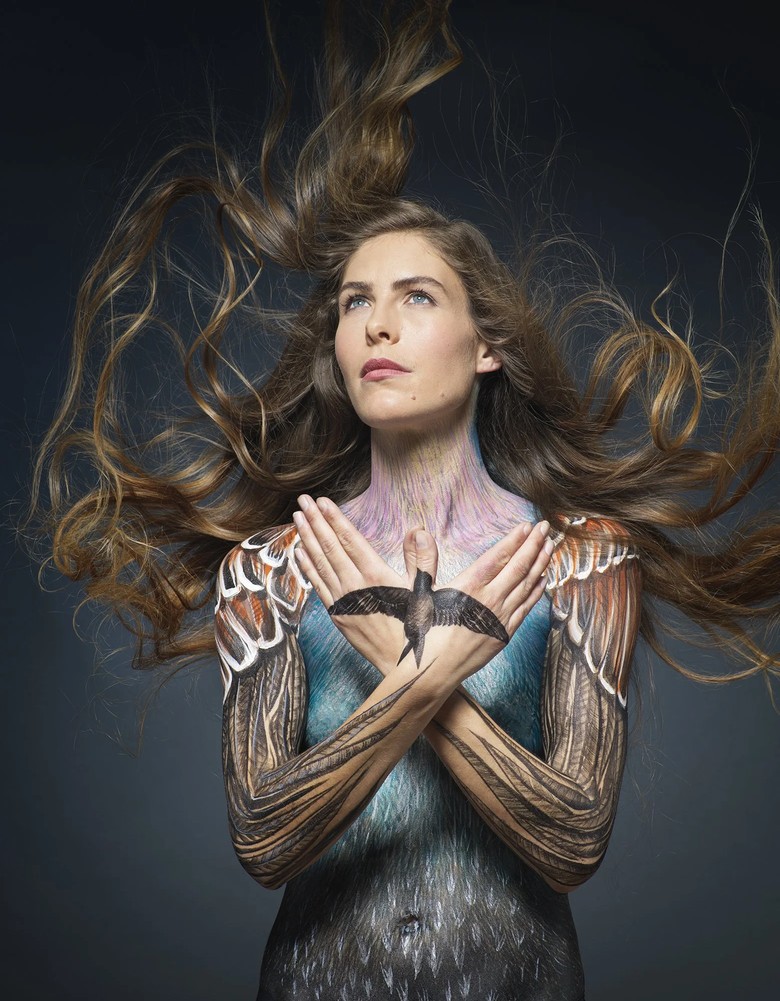 Hero shot THE FEATHER SPEECH - TIM FLACH .jpg