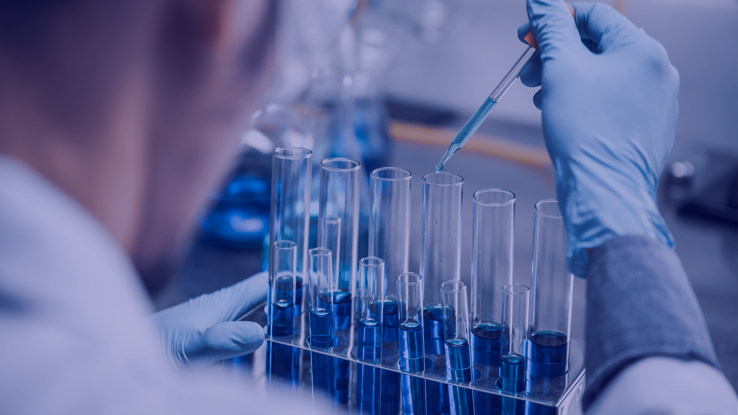 Person wearing gloves using a pipette to transfer liquid into test tubes in a laboratory.