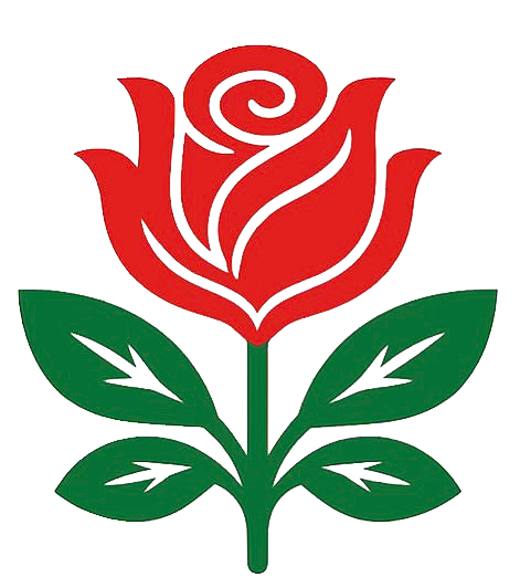 Rose's Needlepoint Shop