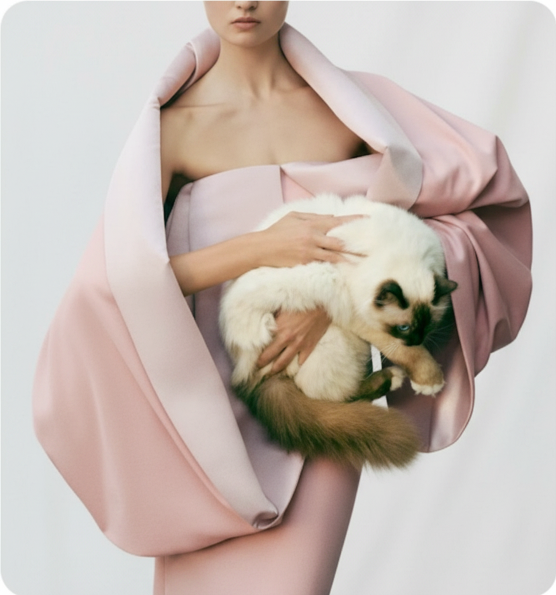 Elegant woman luxury pet sitting  holding a long-haired cat in studio fashion portrait